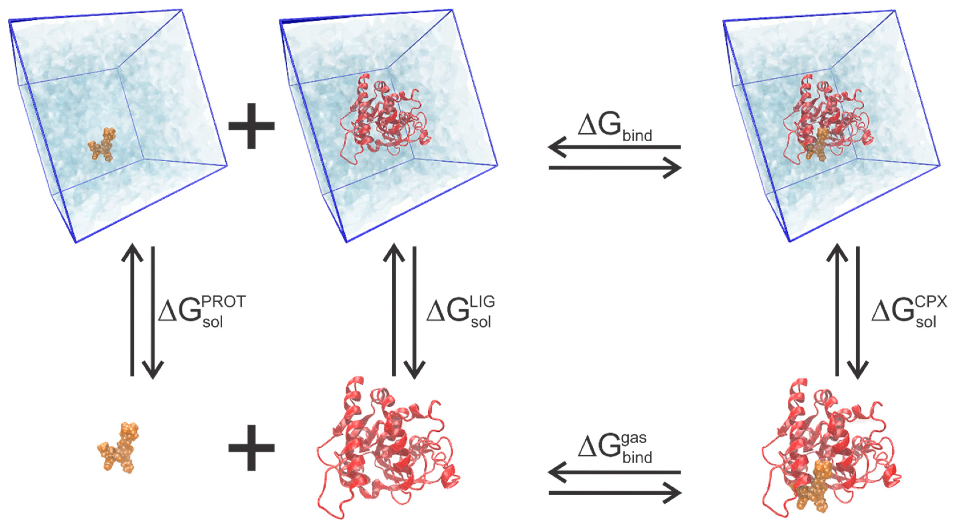 Pharmaceuticals 18 00217 g005