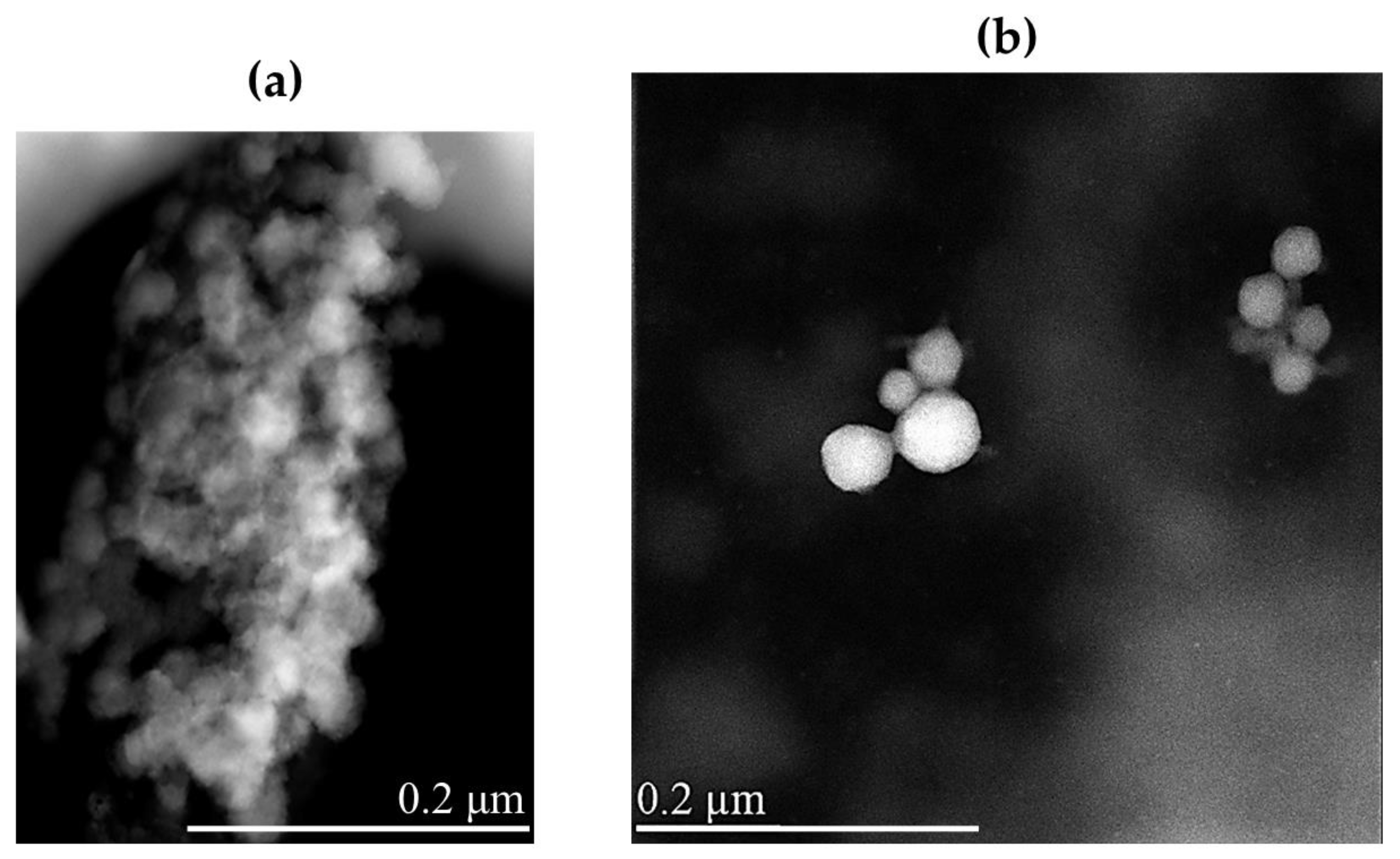 Pharmaceuticals 18 00232 g004
