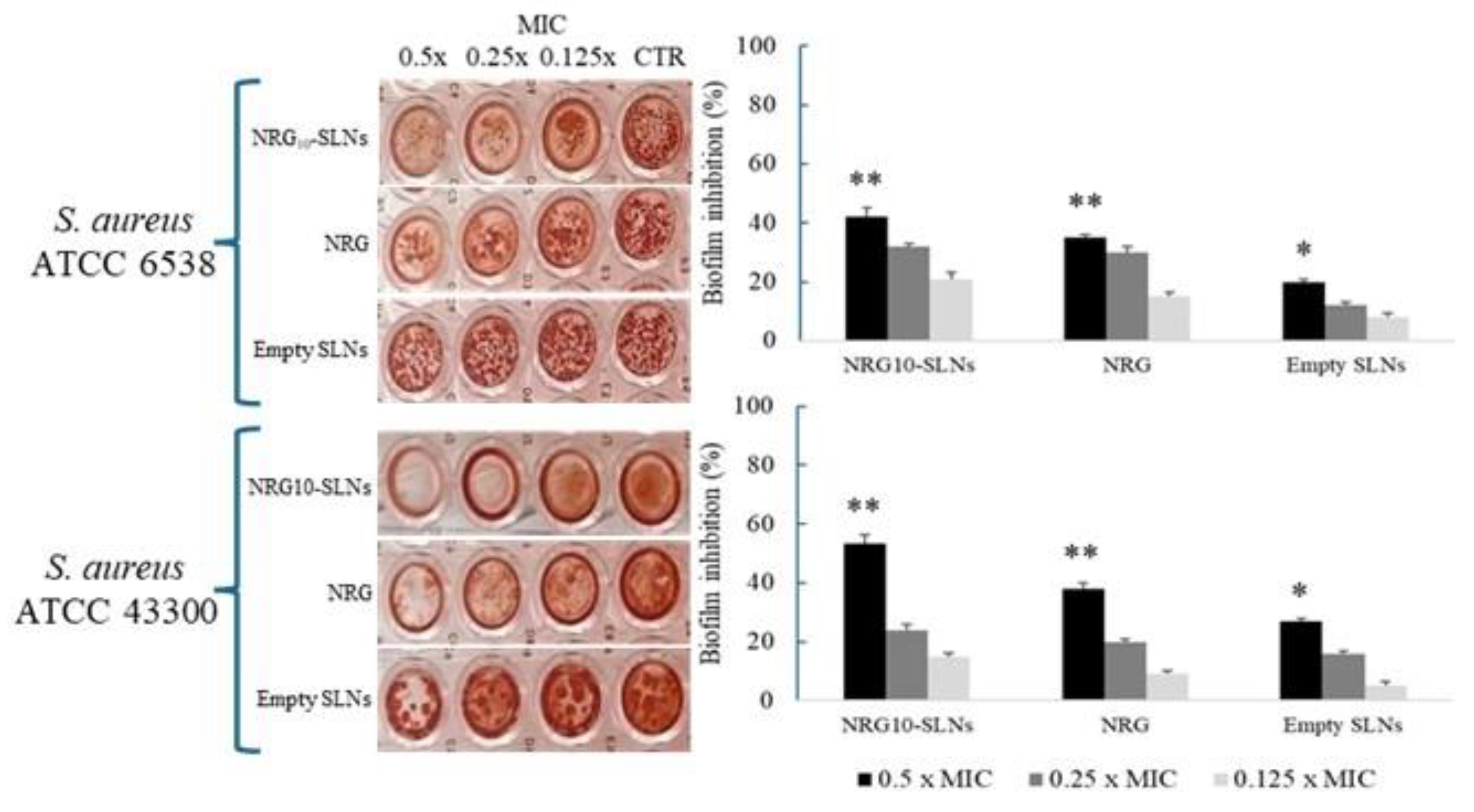 Pharmaceuticals 18 00232 g006