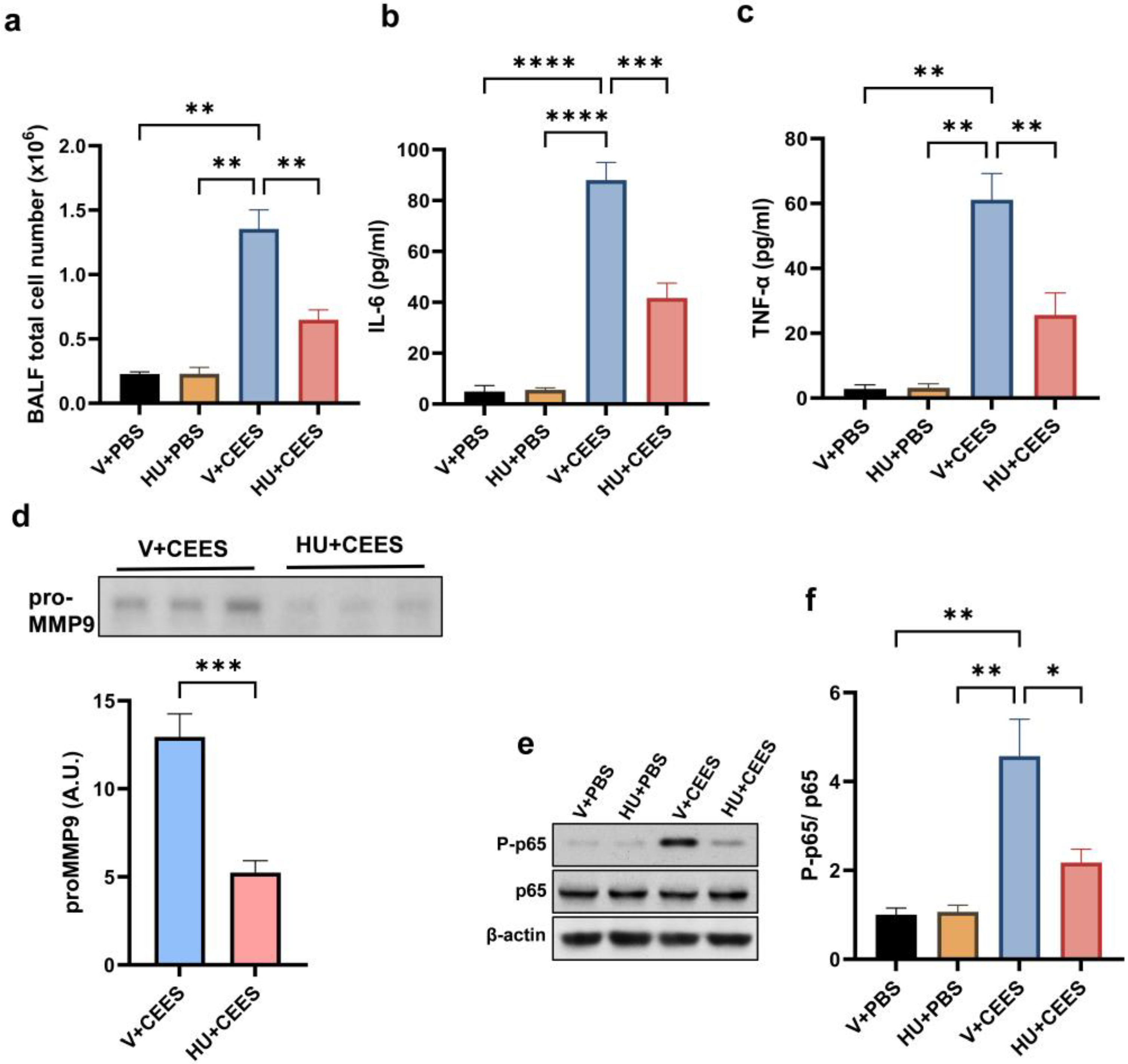 Pharmaceuticals 18 00236 g003