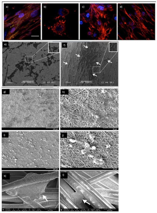 Pharmaceuticals 18 00239 g002