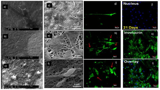 Pharmaceuticals 18 00239 g003