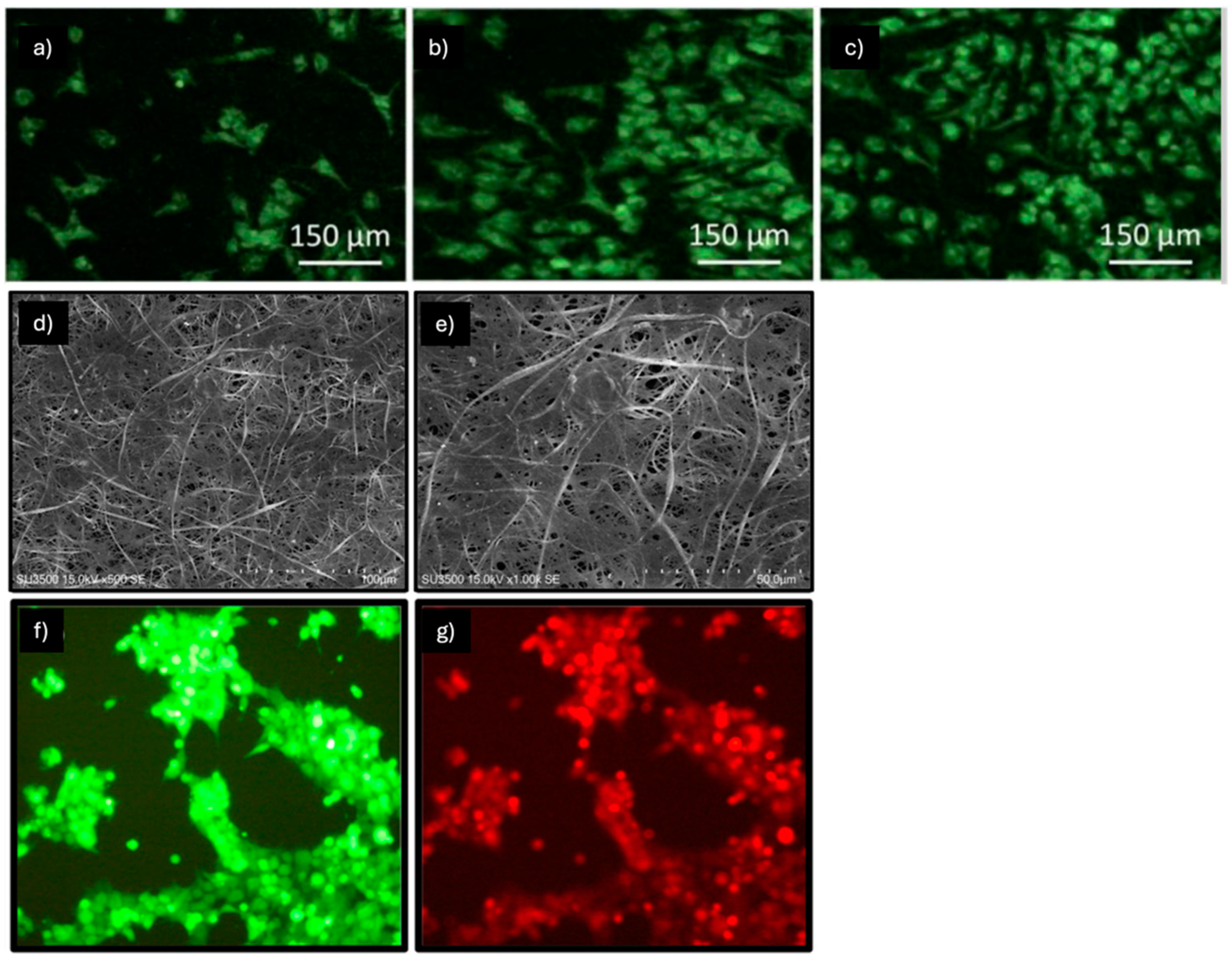Pharmaceuticals 18 00239 g004