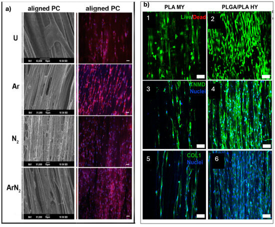 Pharmaceuticals 18 00239 g005