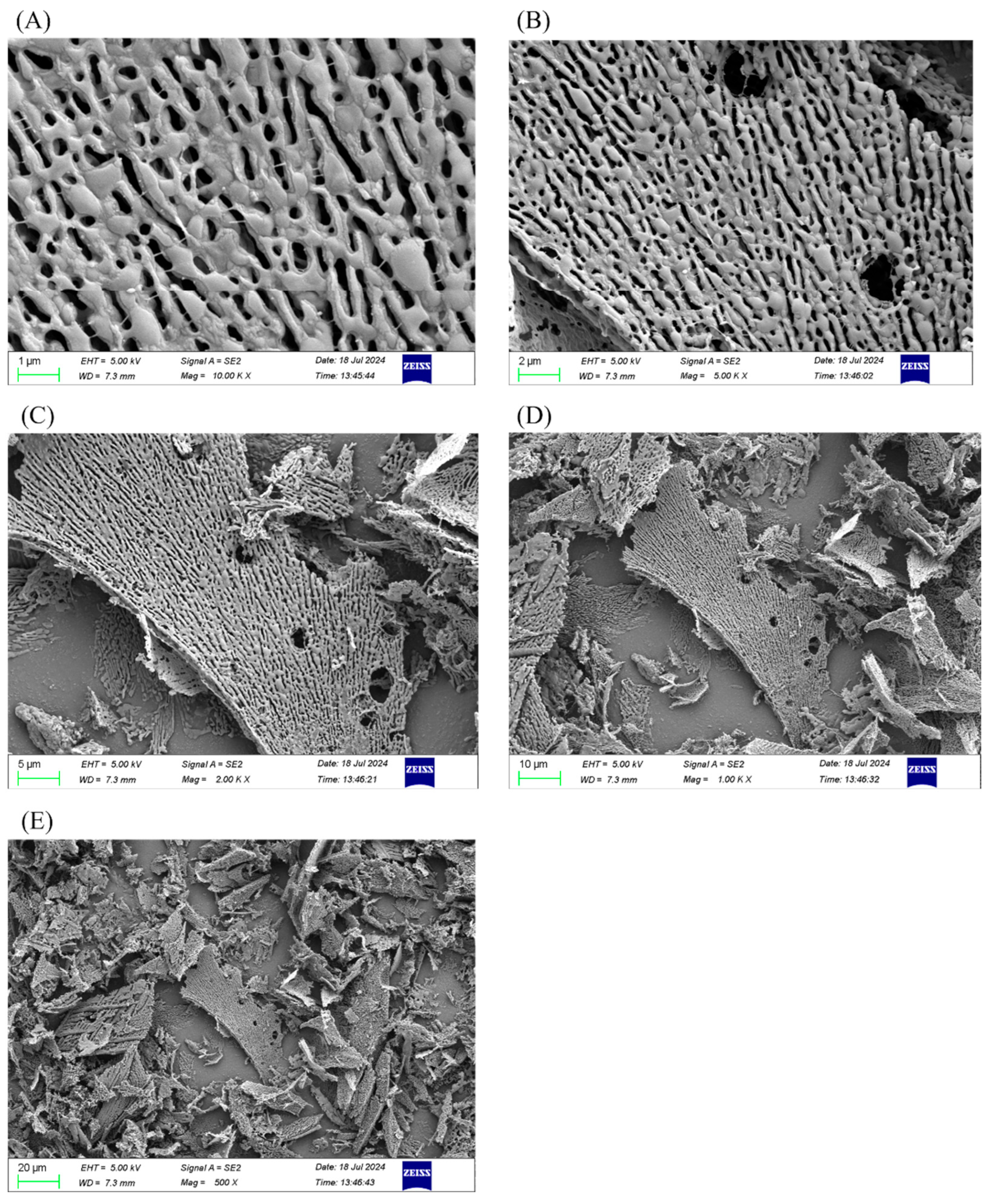 Pharmaceuticals 18 00241 g006