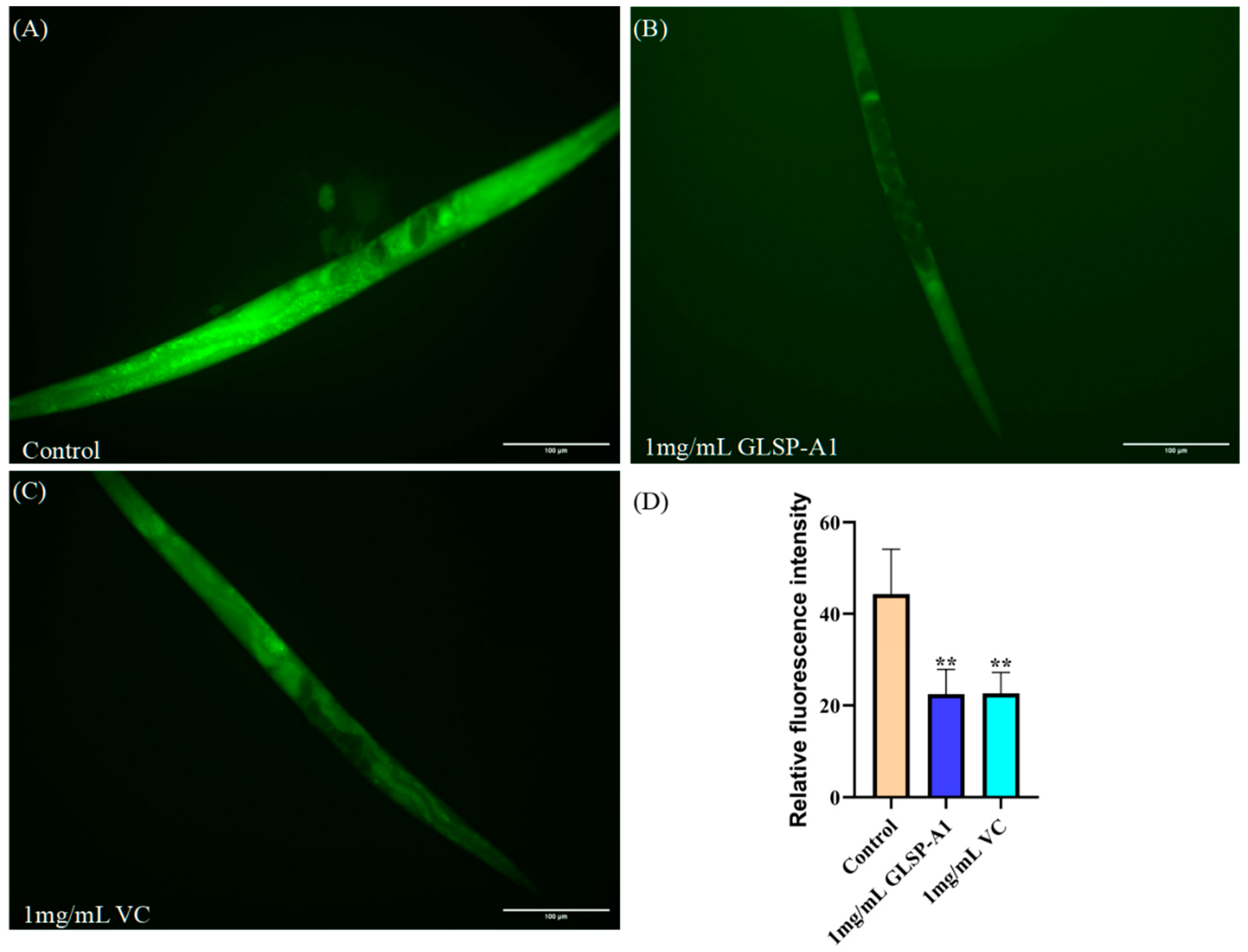 Pharmaceuticals 18 00241 g008