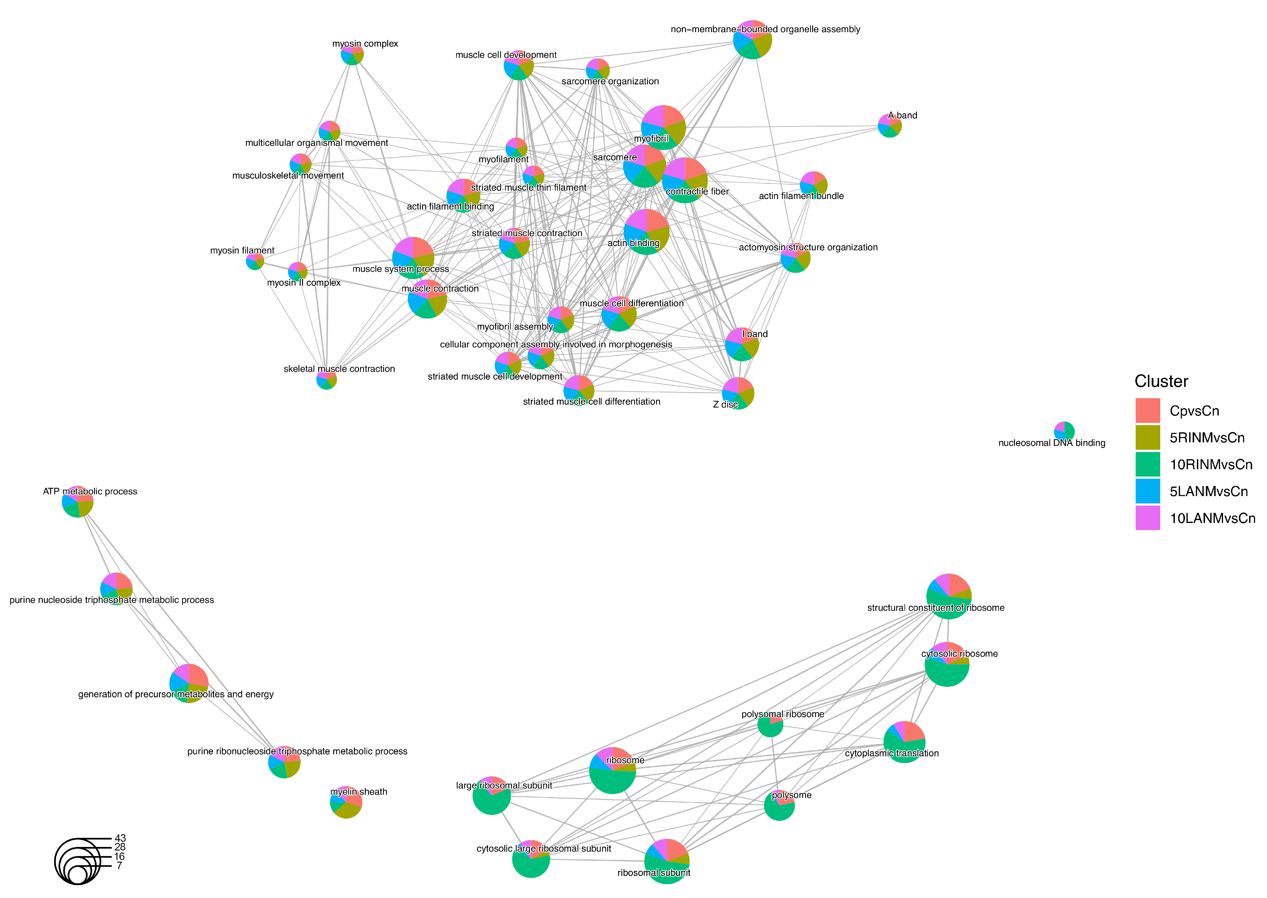 Pharmaceuticals 18 00242 g006