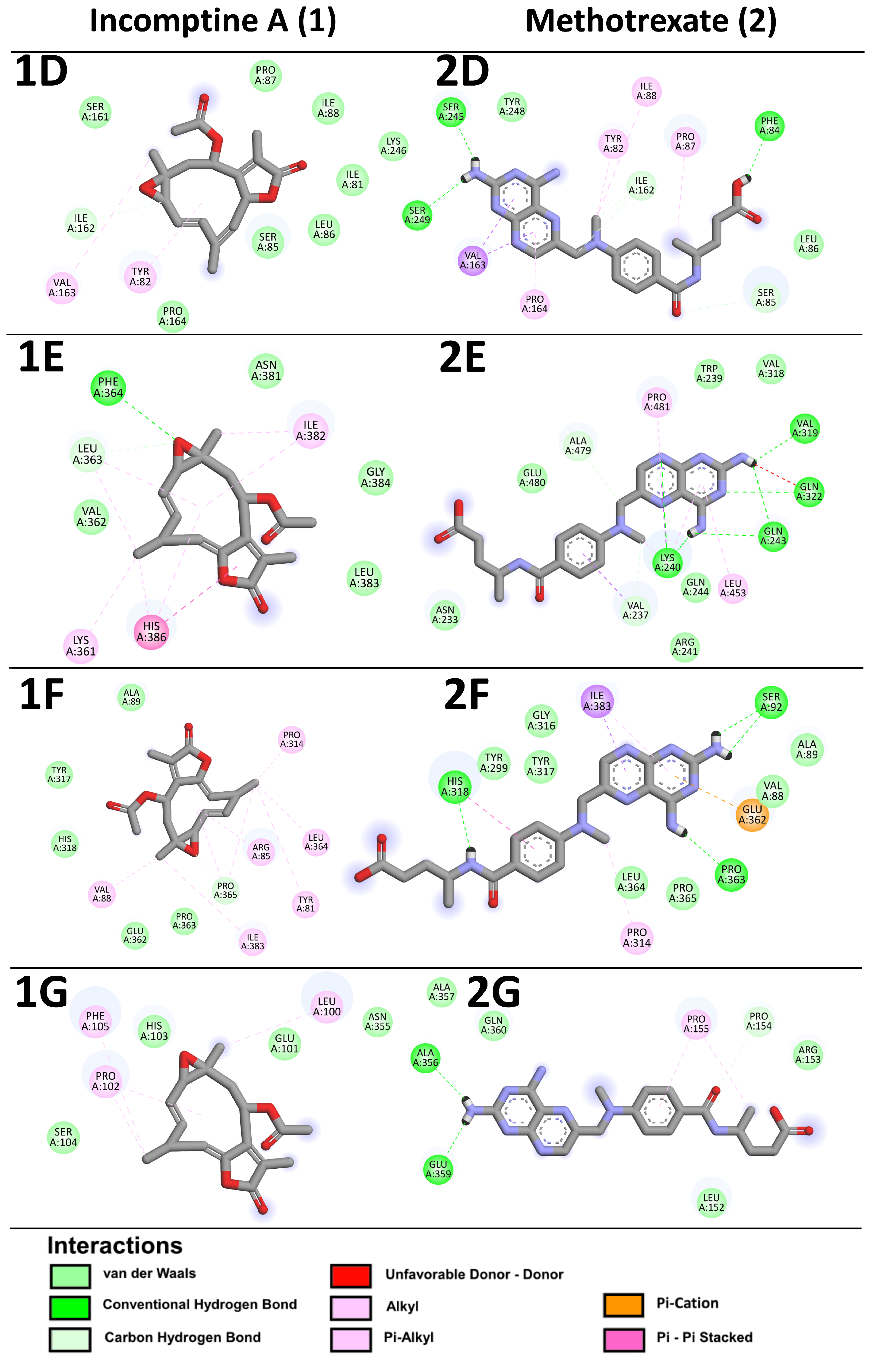 Pharmaceuticals 18 00242 g007b