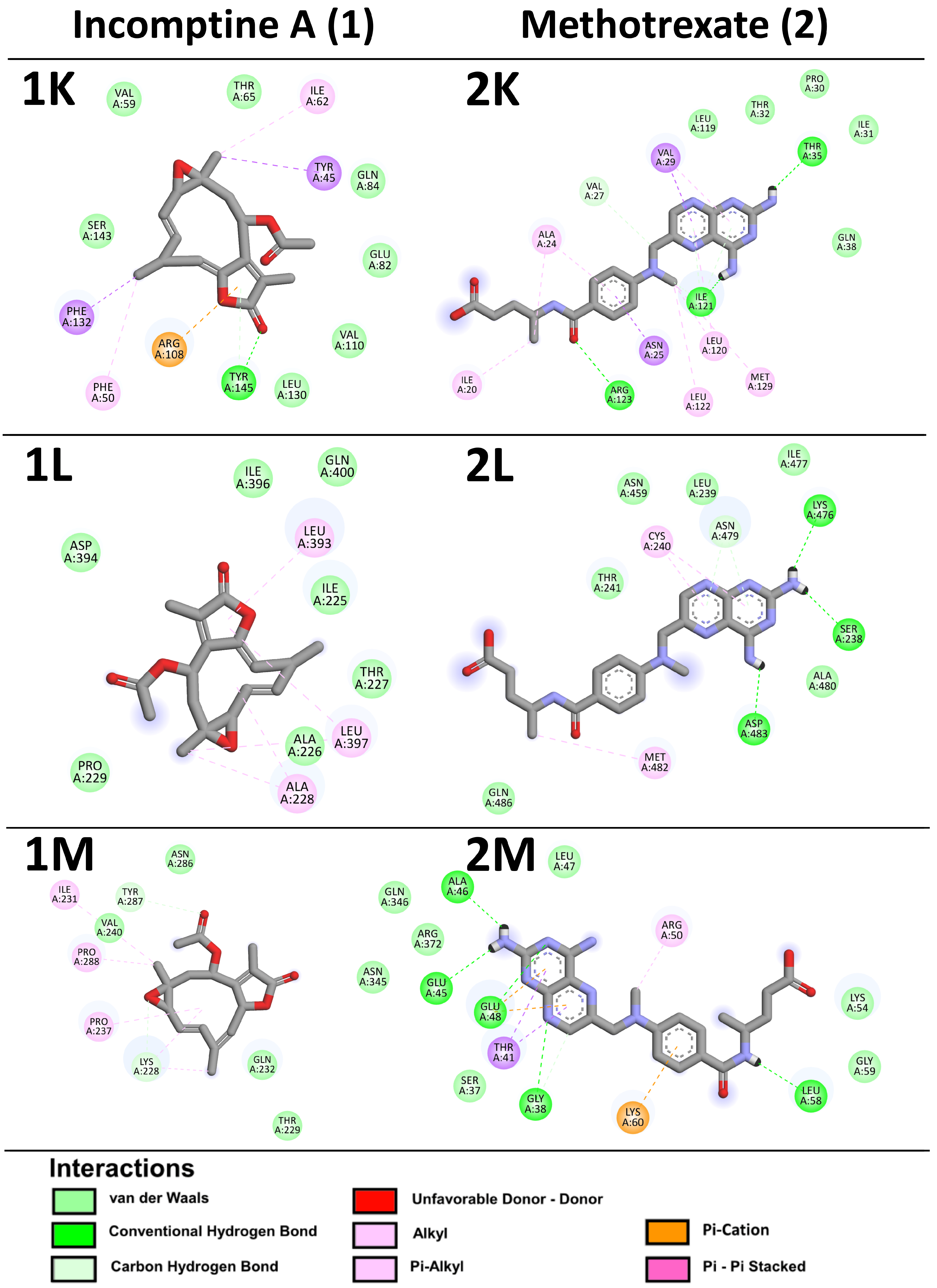 Pharmaceuticals 18 00242 g007d