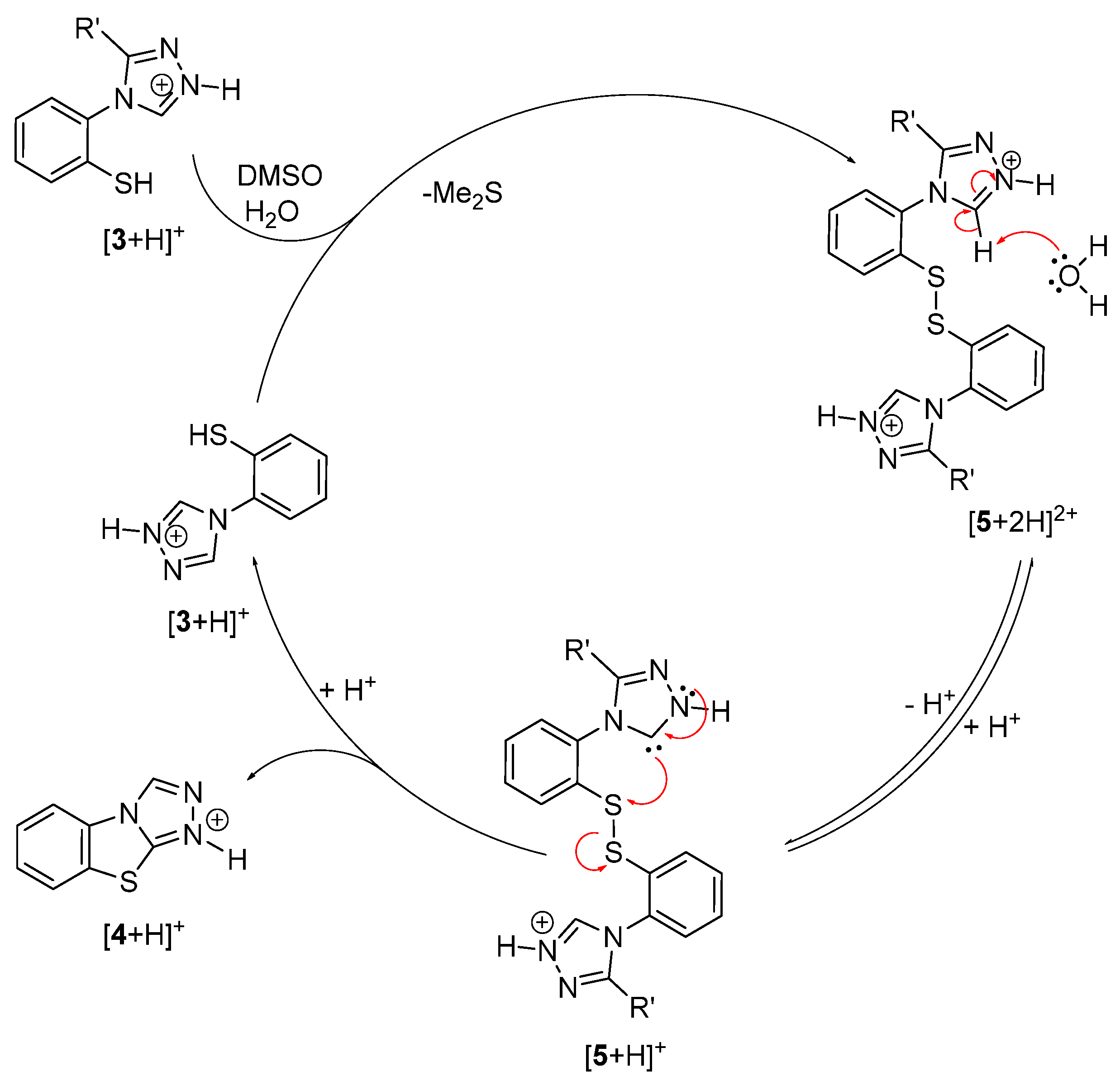 Pharmaceuticals 18 00249 g003
