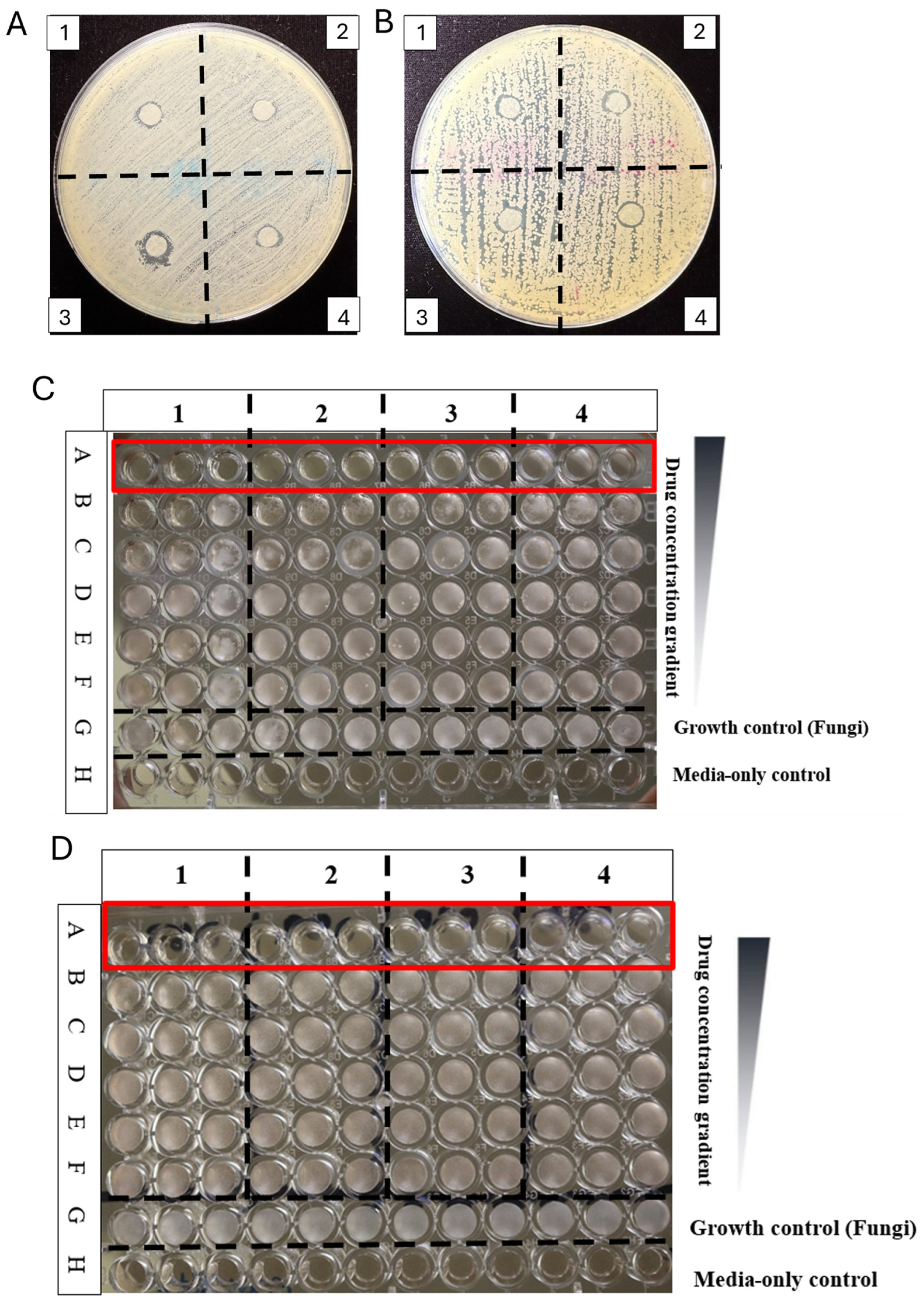 Pharmaceuticals 18 00249 g004