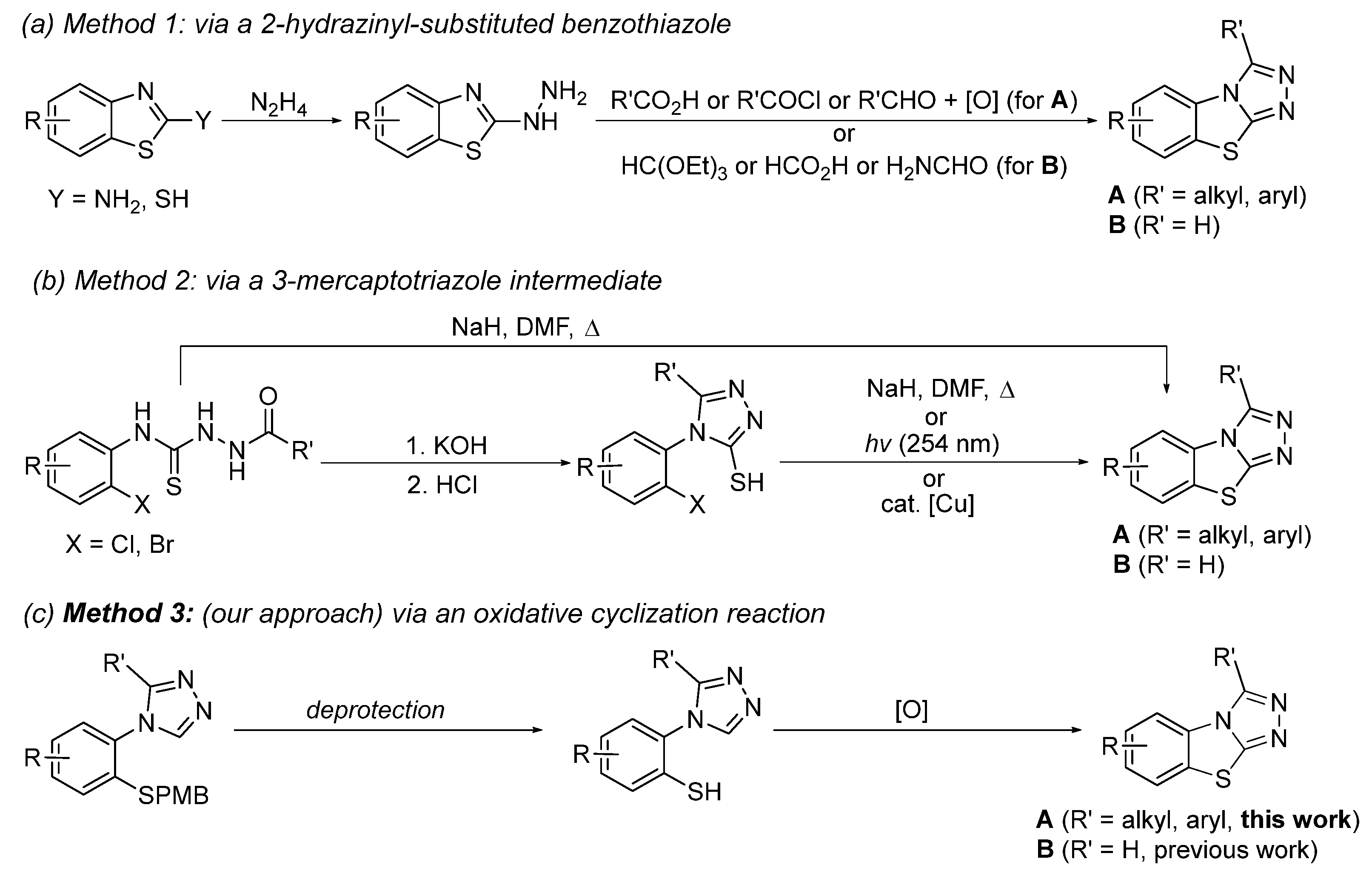 Pharmaceuticals 18 00249 sch001