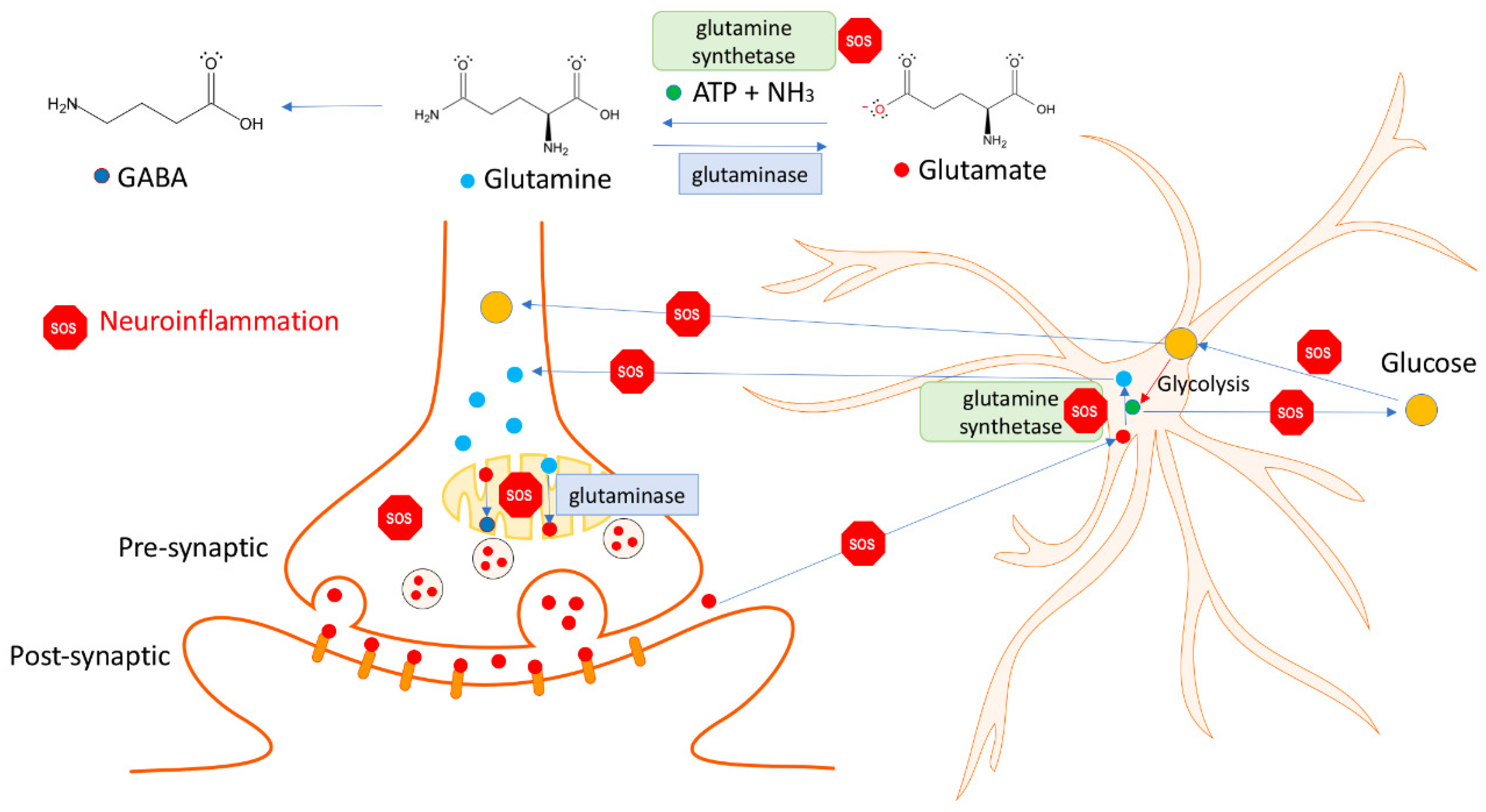 Pharmaceuticals 18 00261 g003