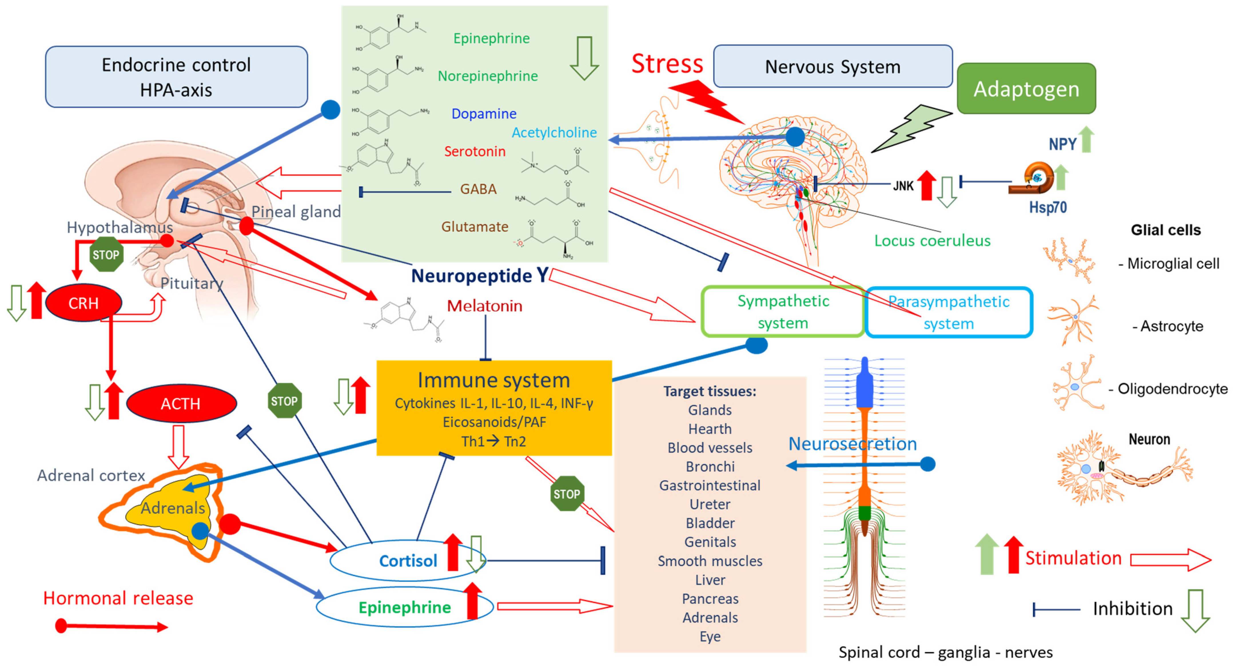 Pharmaceuticals 18 00261 g004