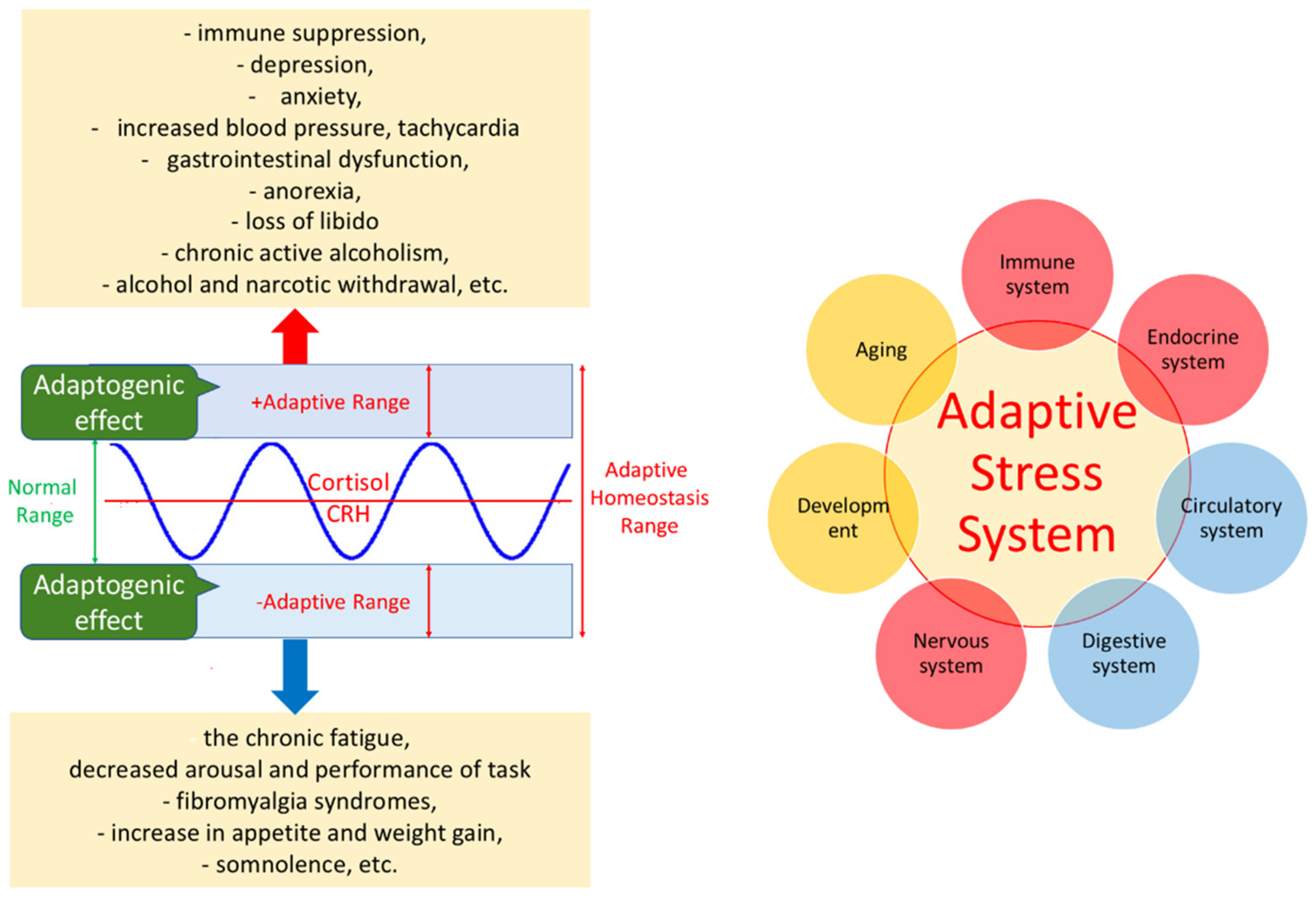 Pharmaceuticals 18 00261 g005