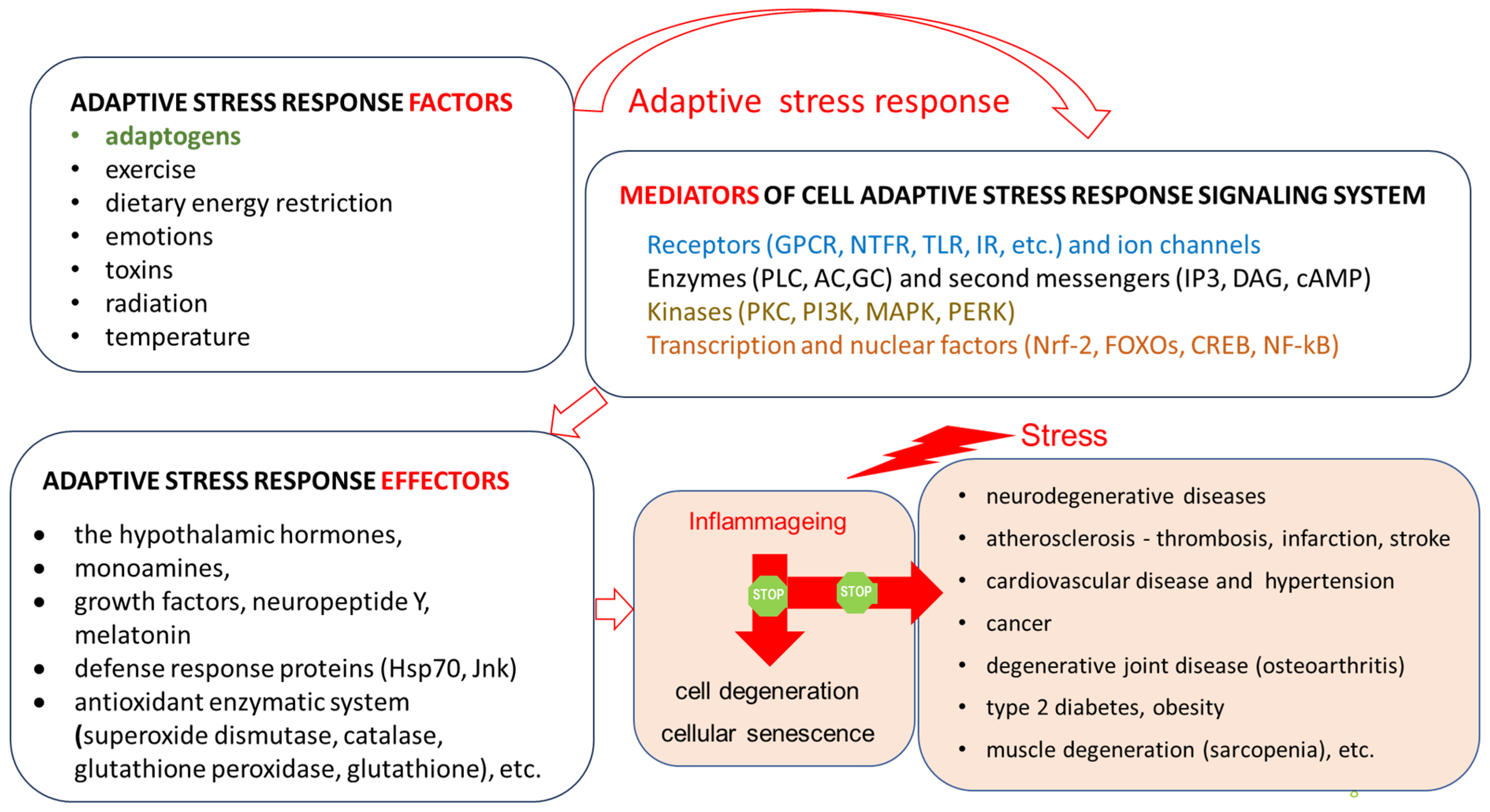 Pharmaceuticals 18 00261 g006