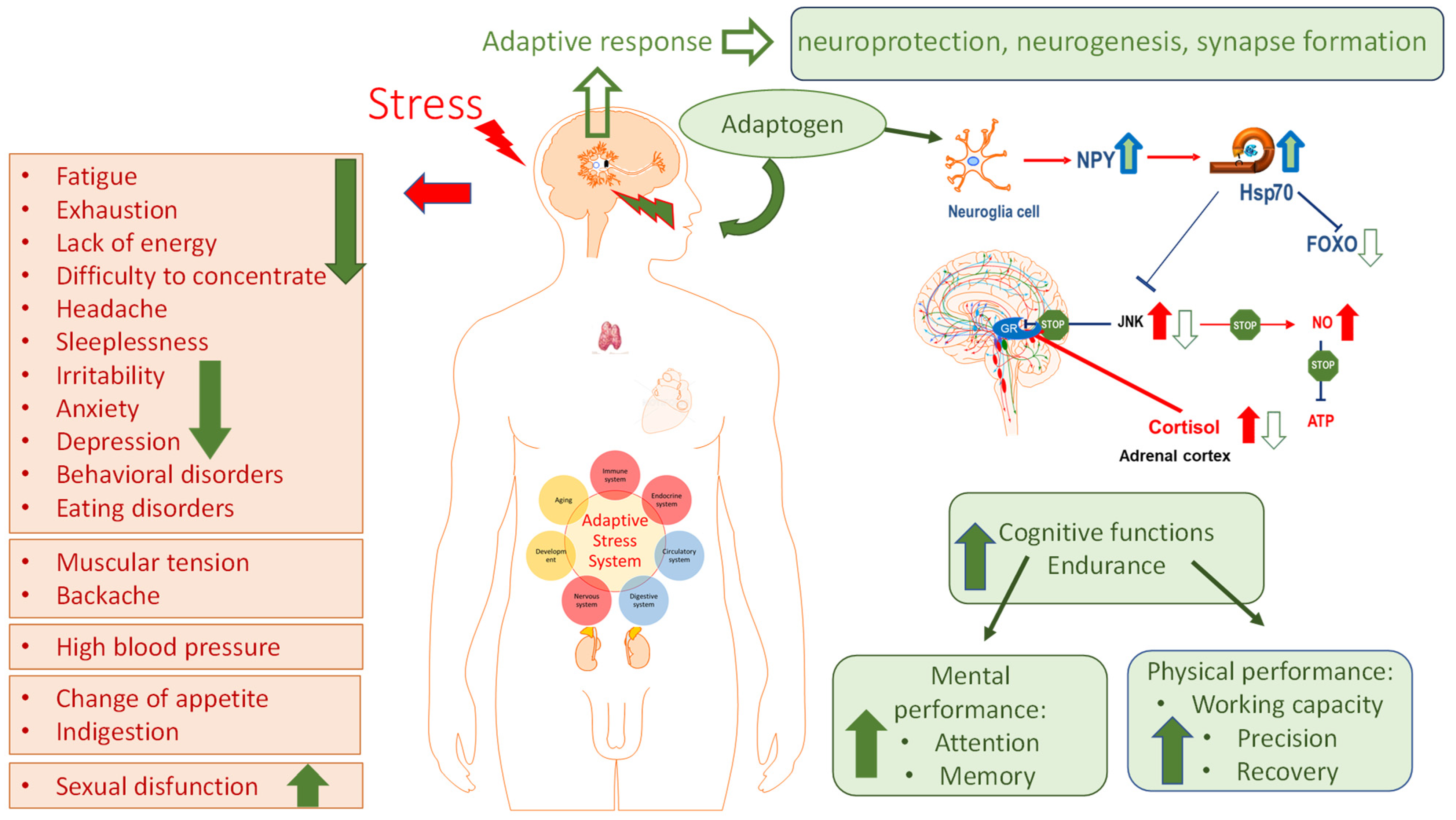 Pharmaceuticals 18 00261 g007