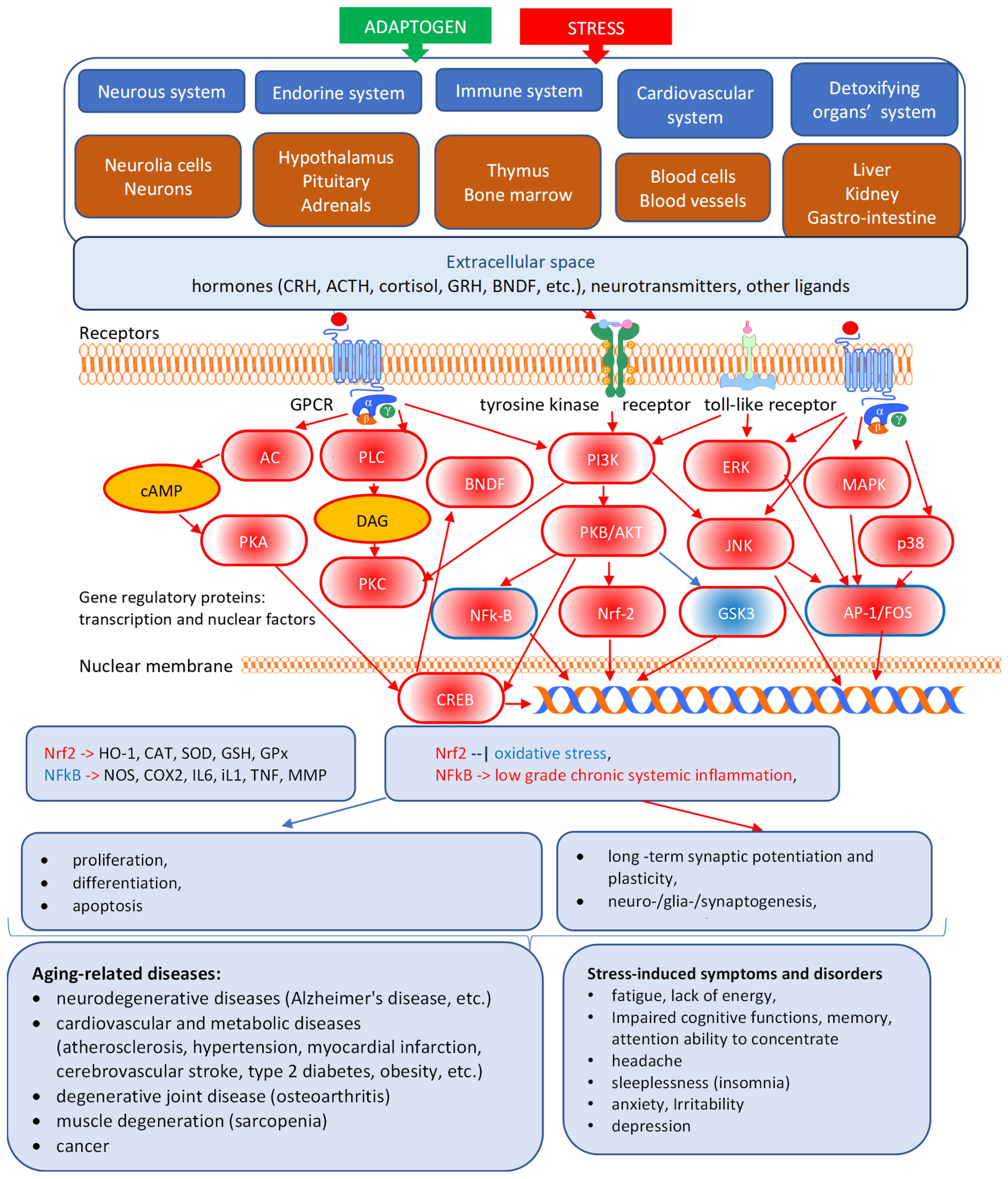 Pharmaceuticals 18 00261 g008