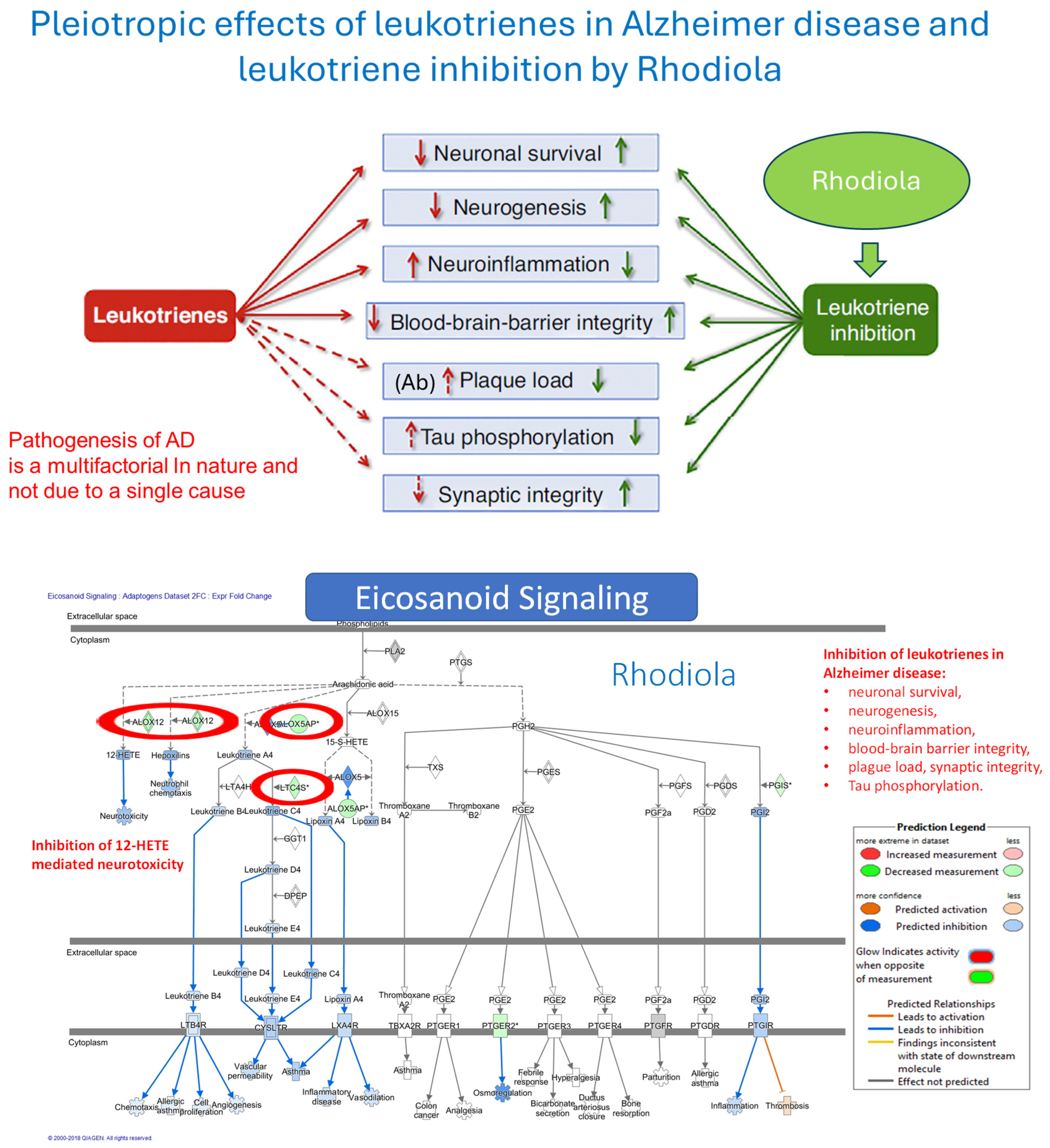 Pharmaceuticals 18 00261 g009