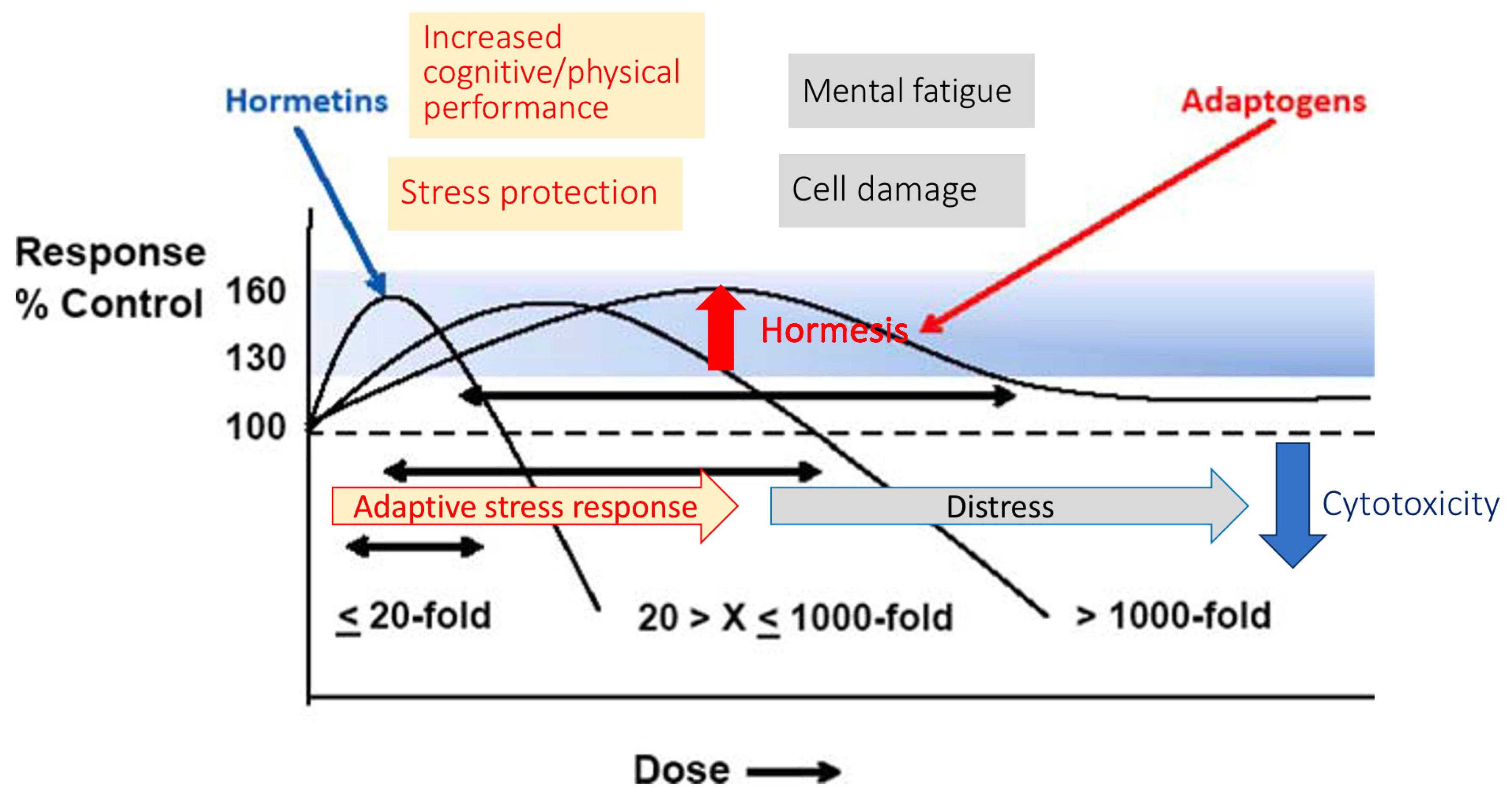 Pharmaceuticals 18 00261 g010
