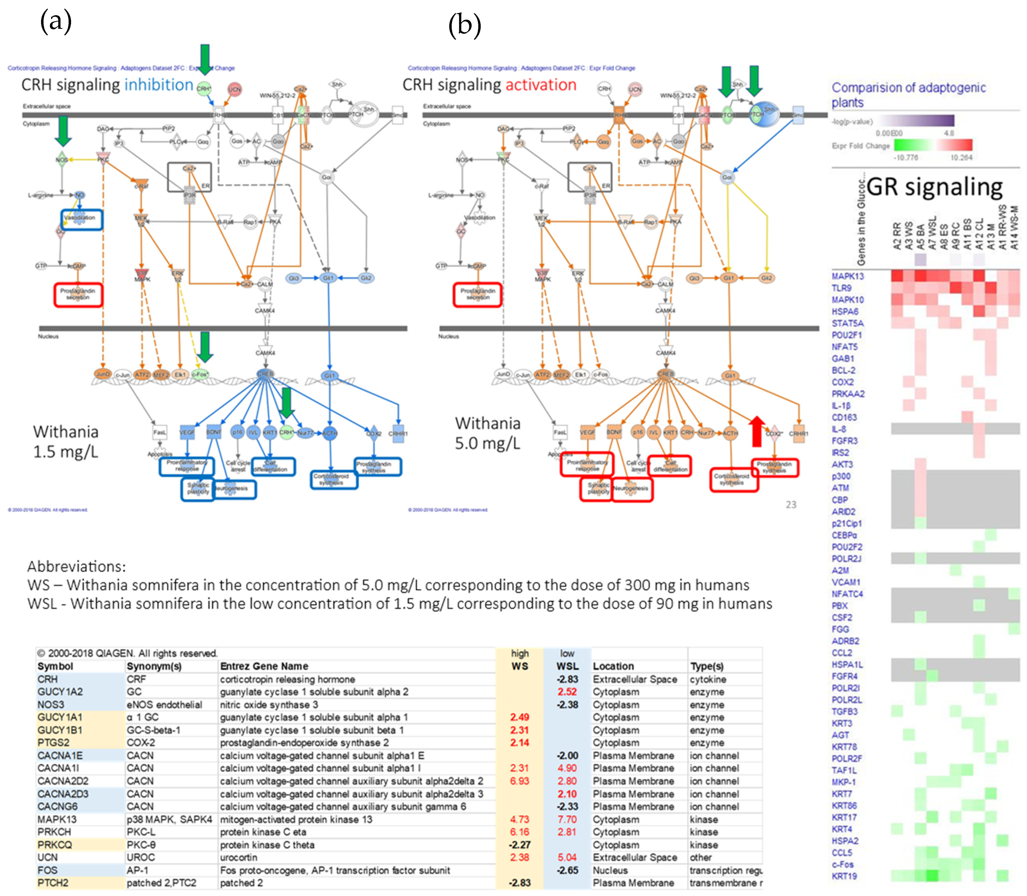 Pharmaceuticals 18 00261 g012