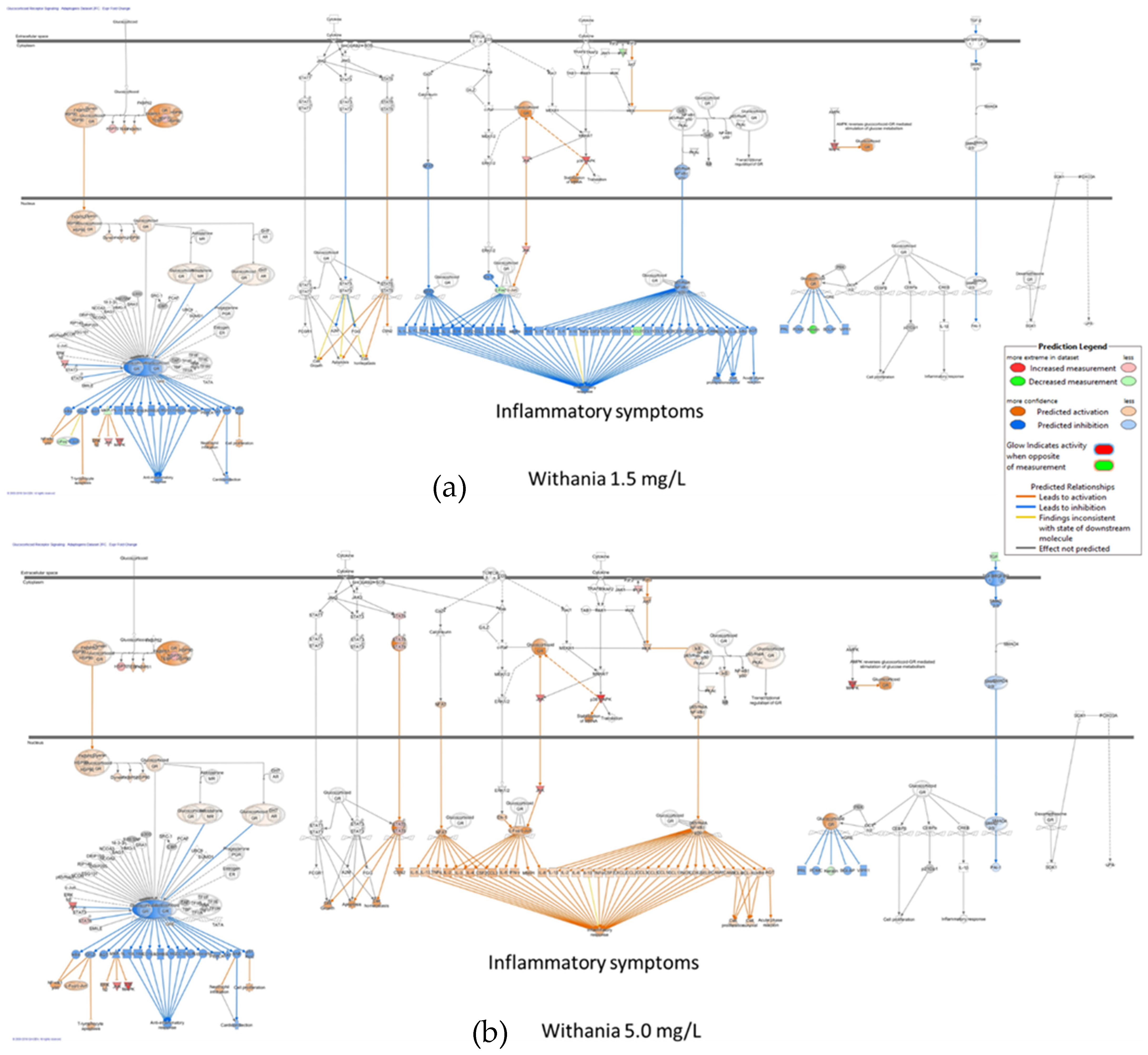 Pharmaceuticals 18 00261 g013
