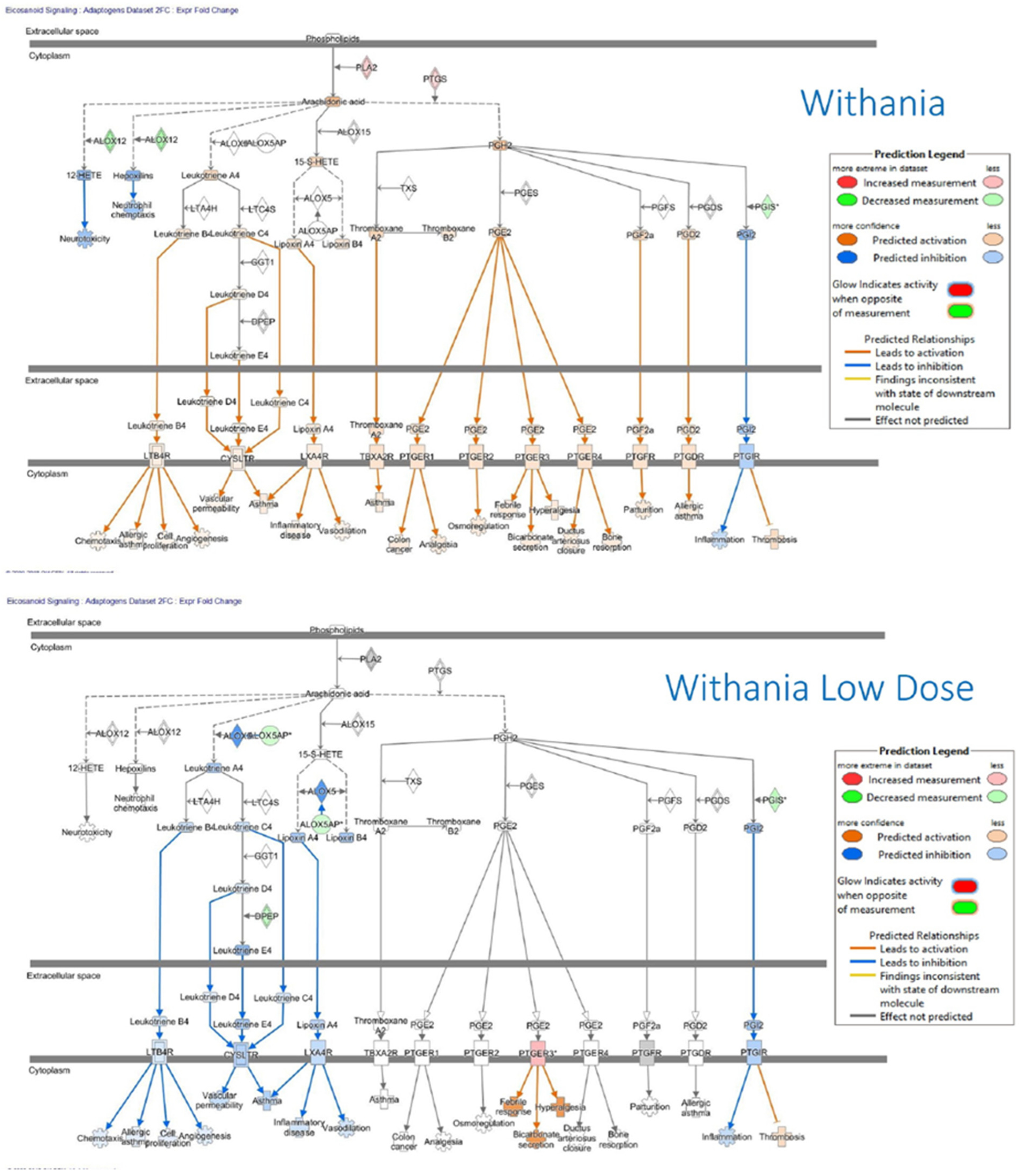 Pharmaceuticals 18 00261 g014