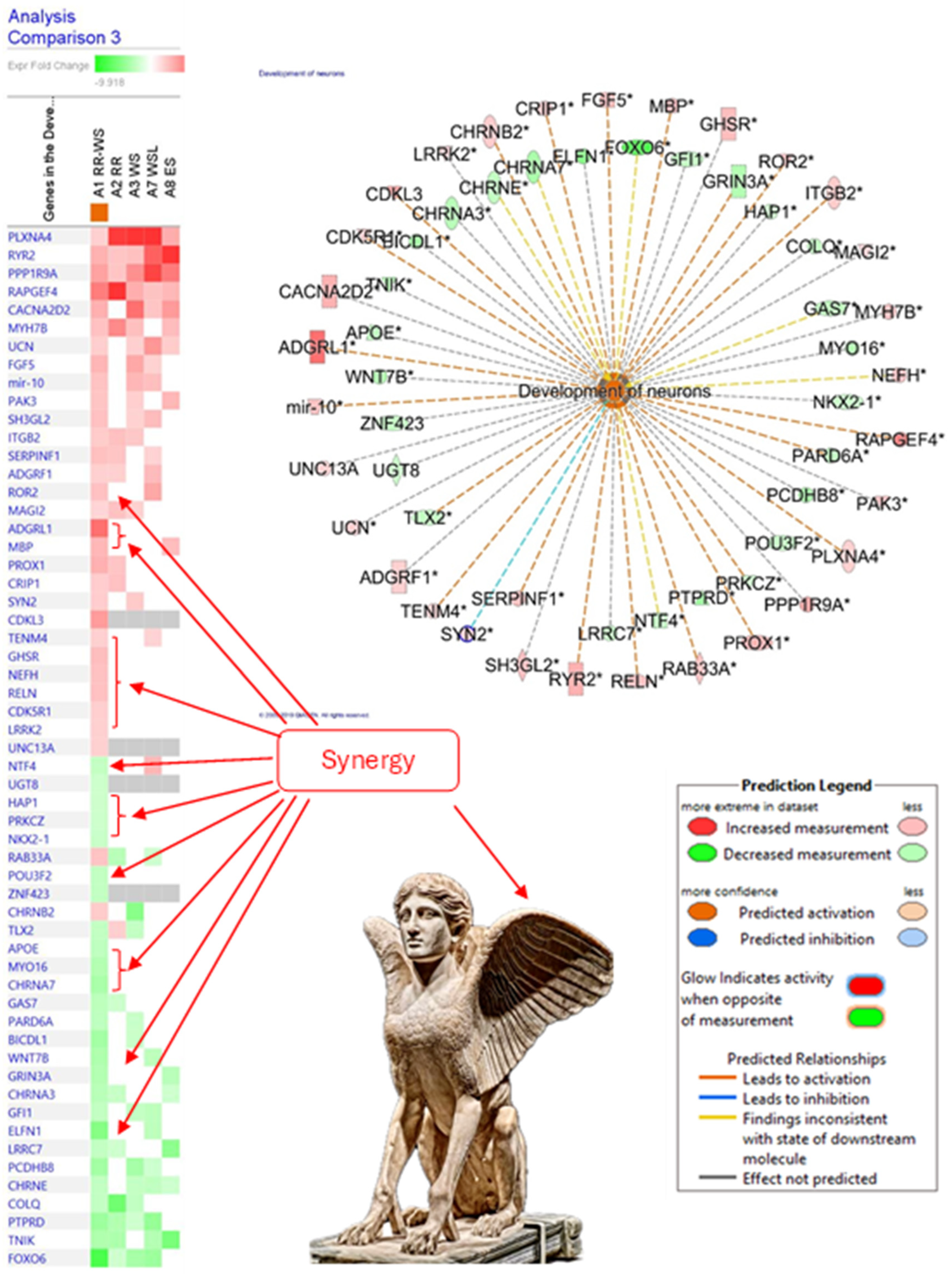 Pharmaceuticals 18 00261 g016