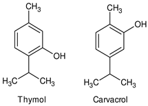 Pharmaceuticals 18 00267 i001