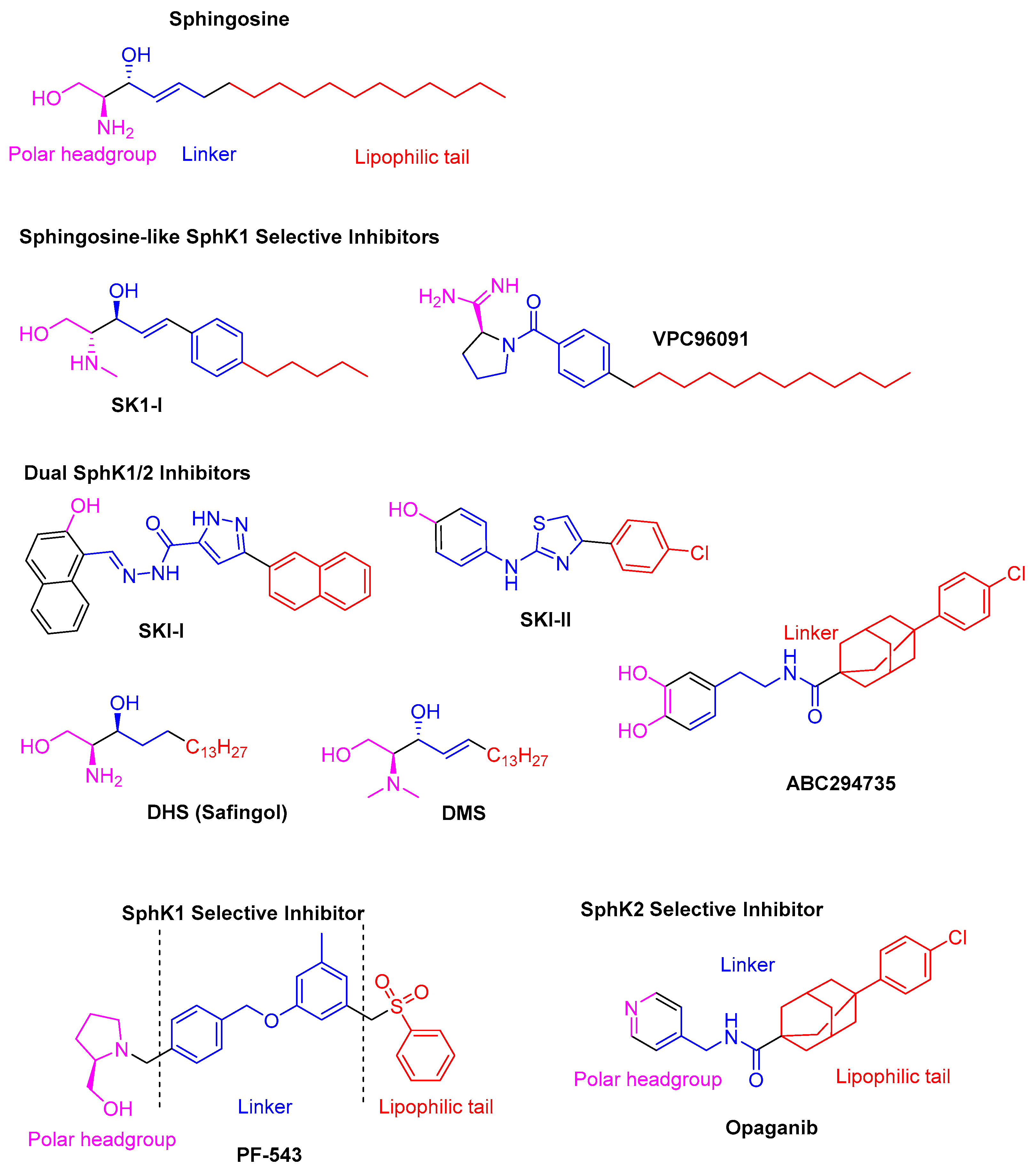 Pharmaceuticals 18 00268 g001