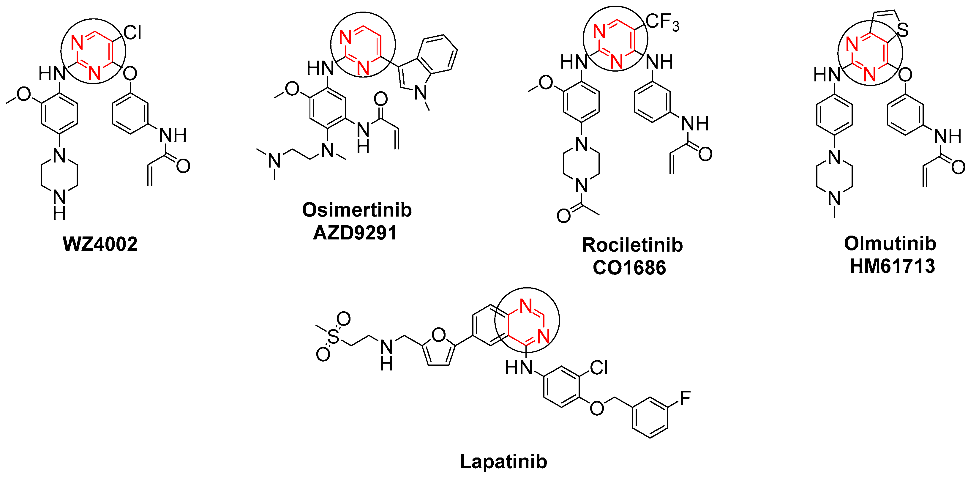 Pharmaceuticals 18 00270 g001