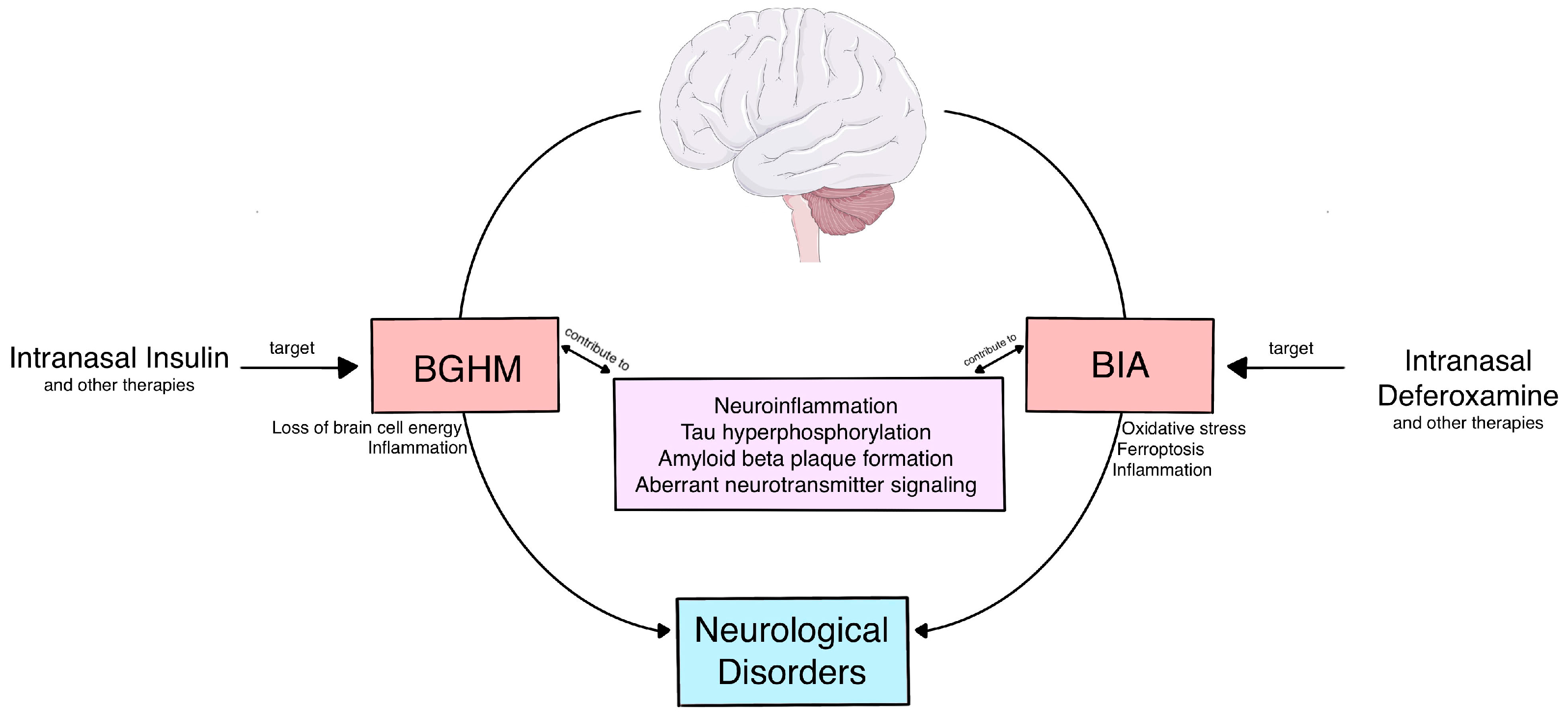 Pharmaceuticals 18 00271 g001