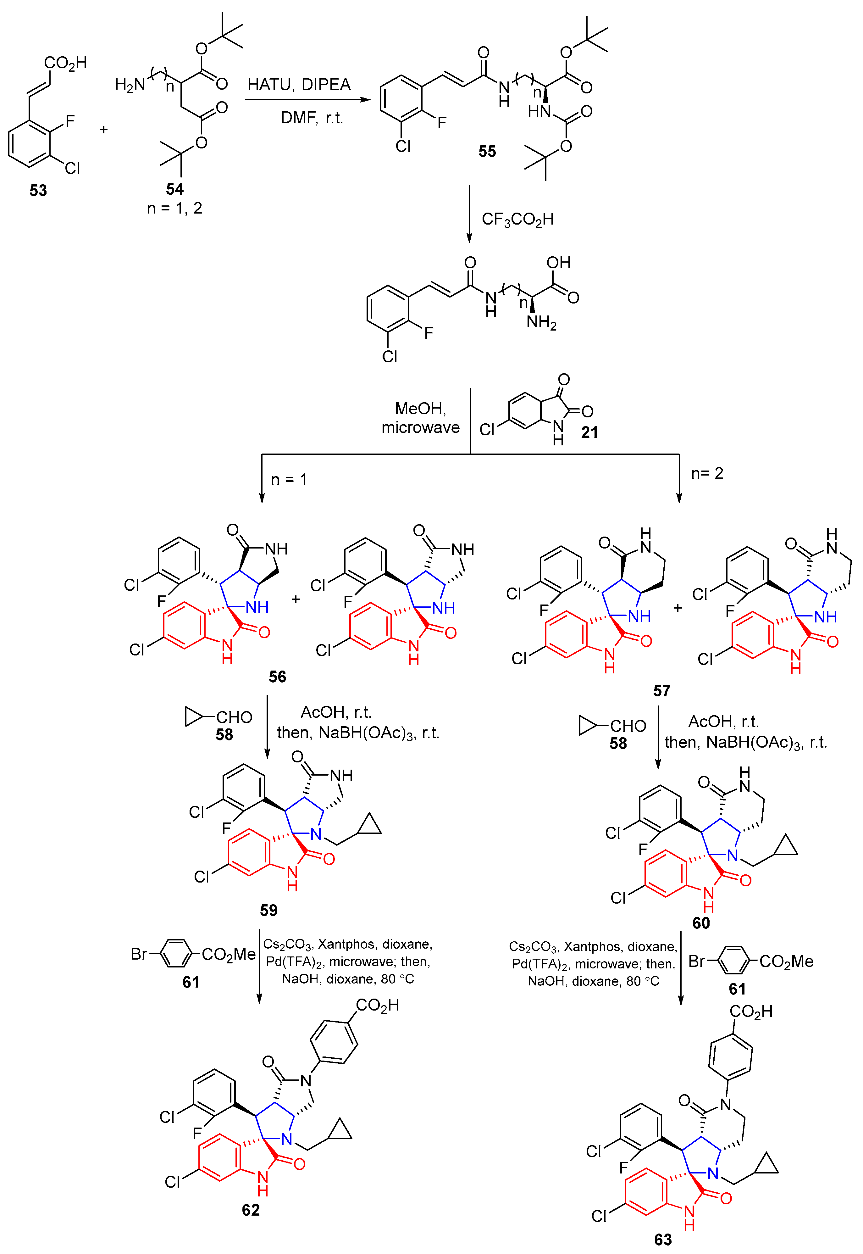 Pharmaceuticals 18 00274 sch011
