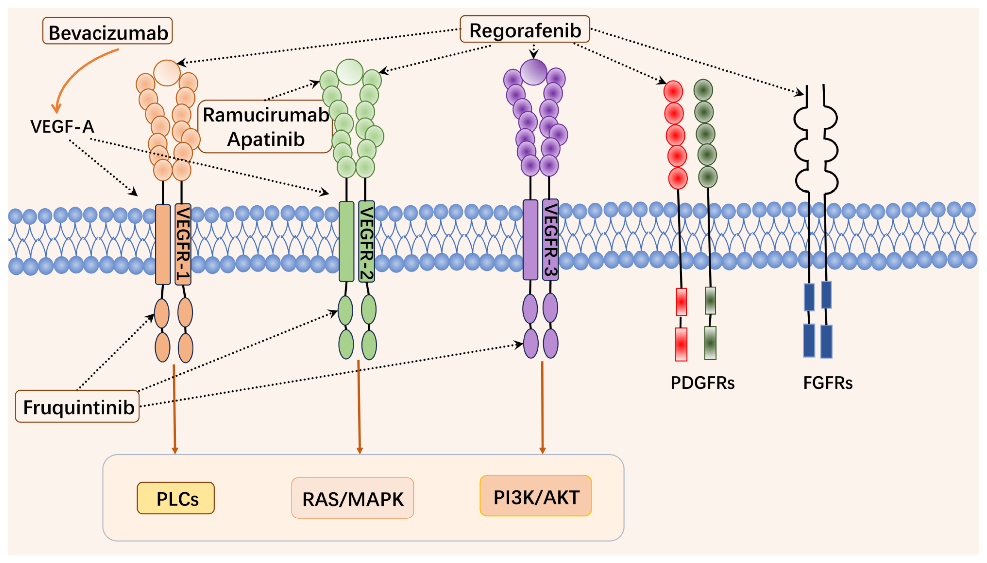 Pharmaceuticals 18 00280 g001