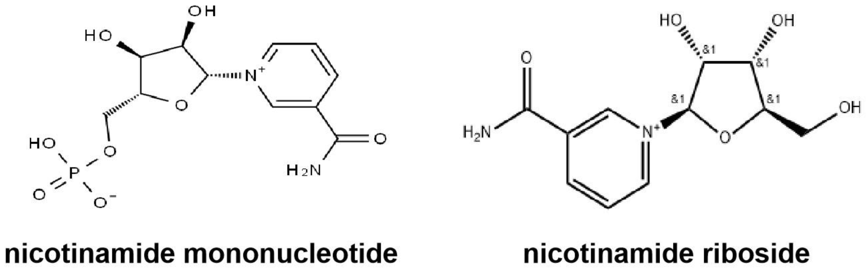 Pharmaceuticals 18 00281 g013 Pharmaceuticals 18 00281 g013