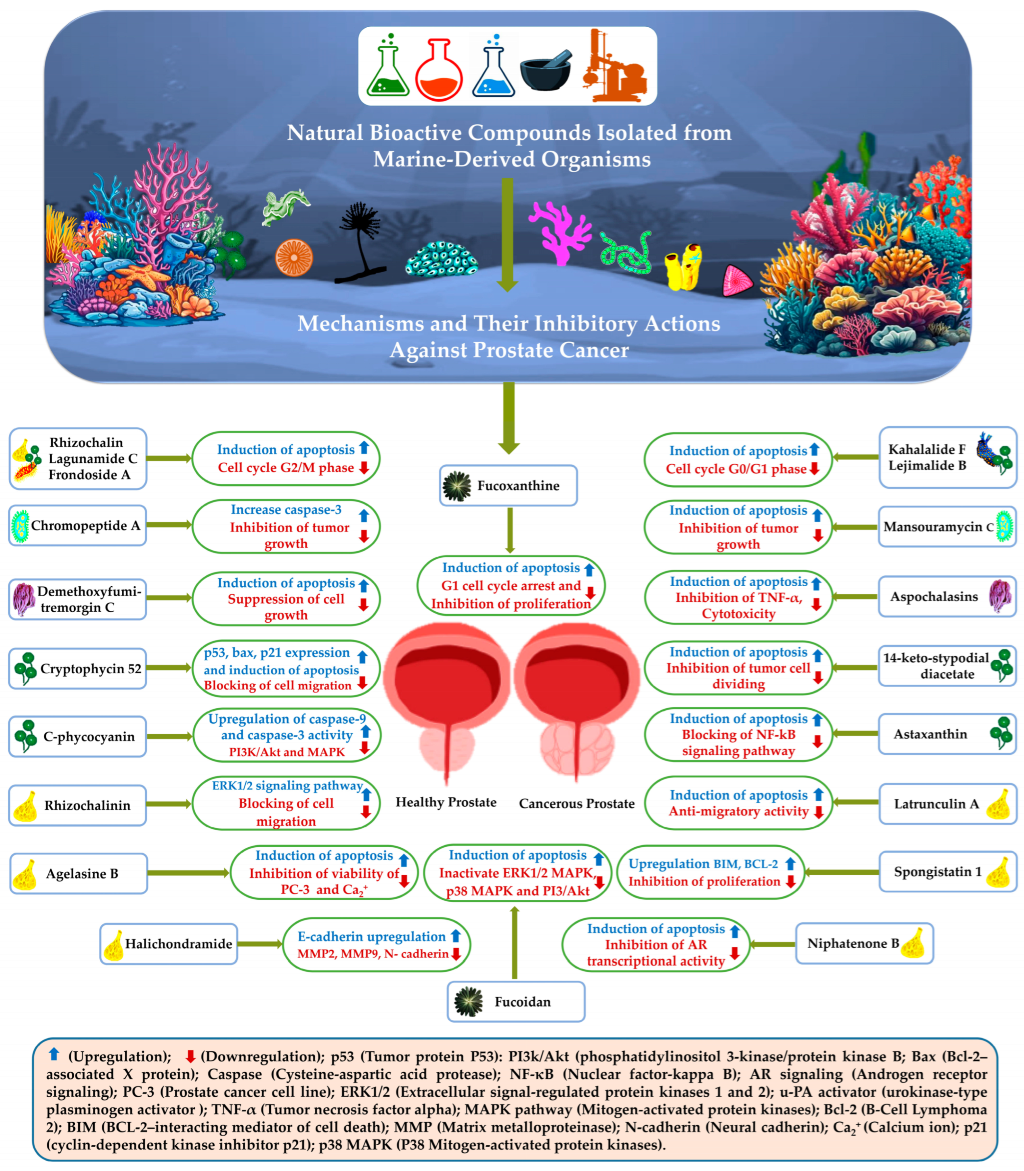 Pharmaceuticals 18 00286 g002