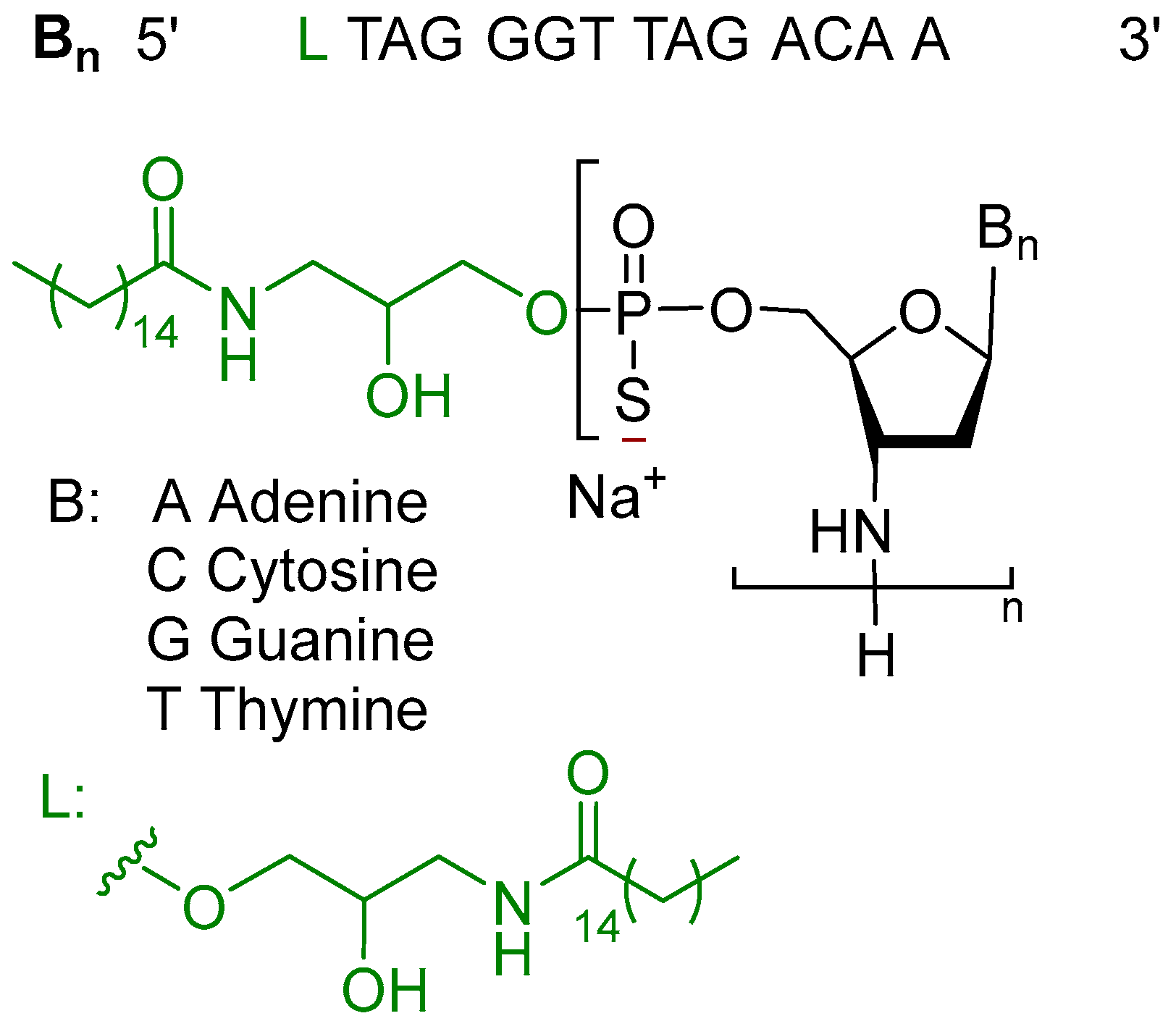 Pharmaceuticals 18 00291 g002