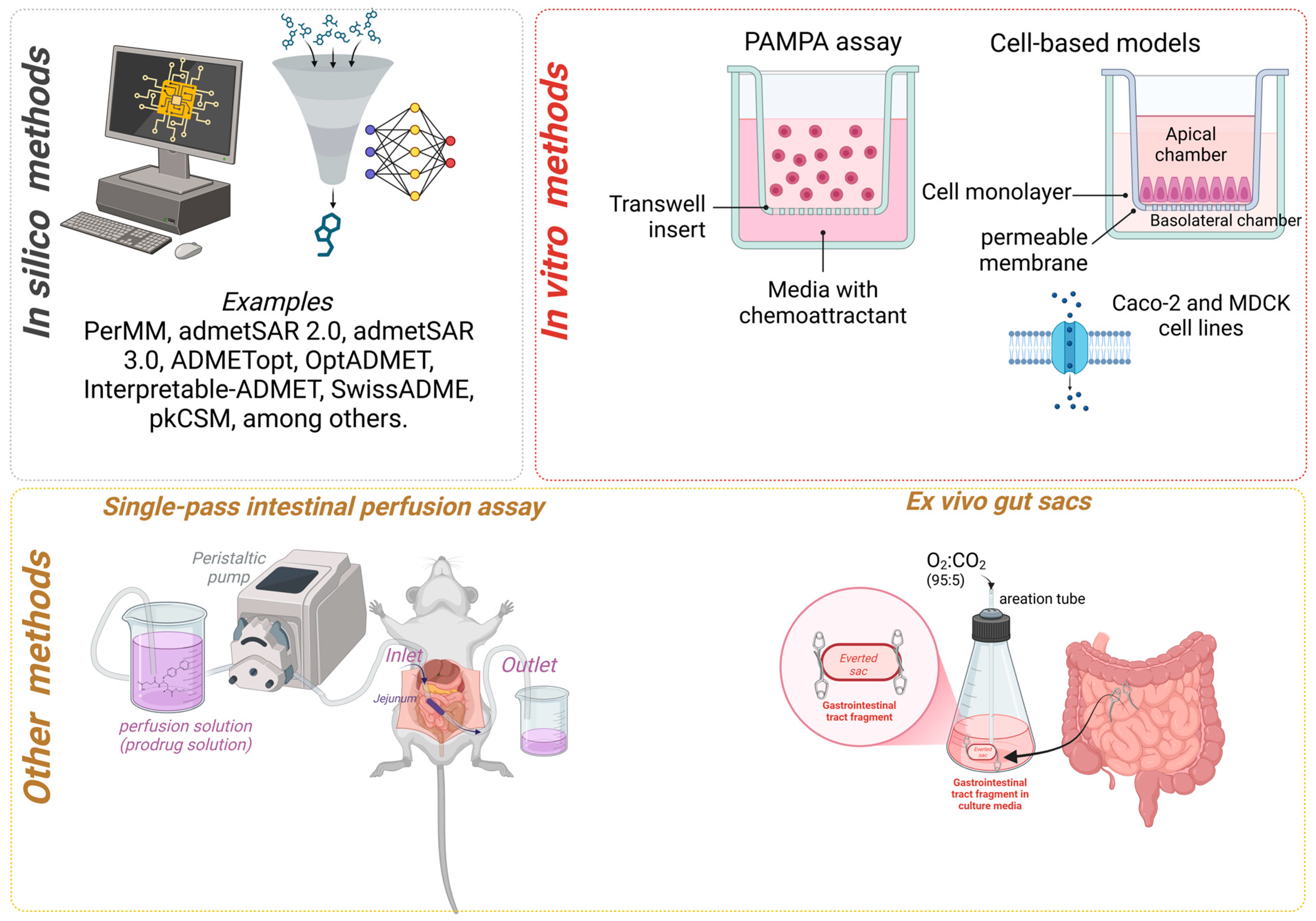 Pharmaceuticals 18 00297 g001