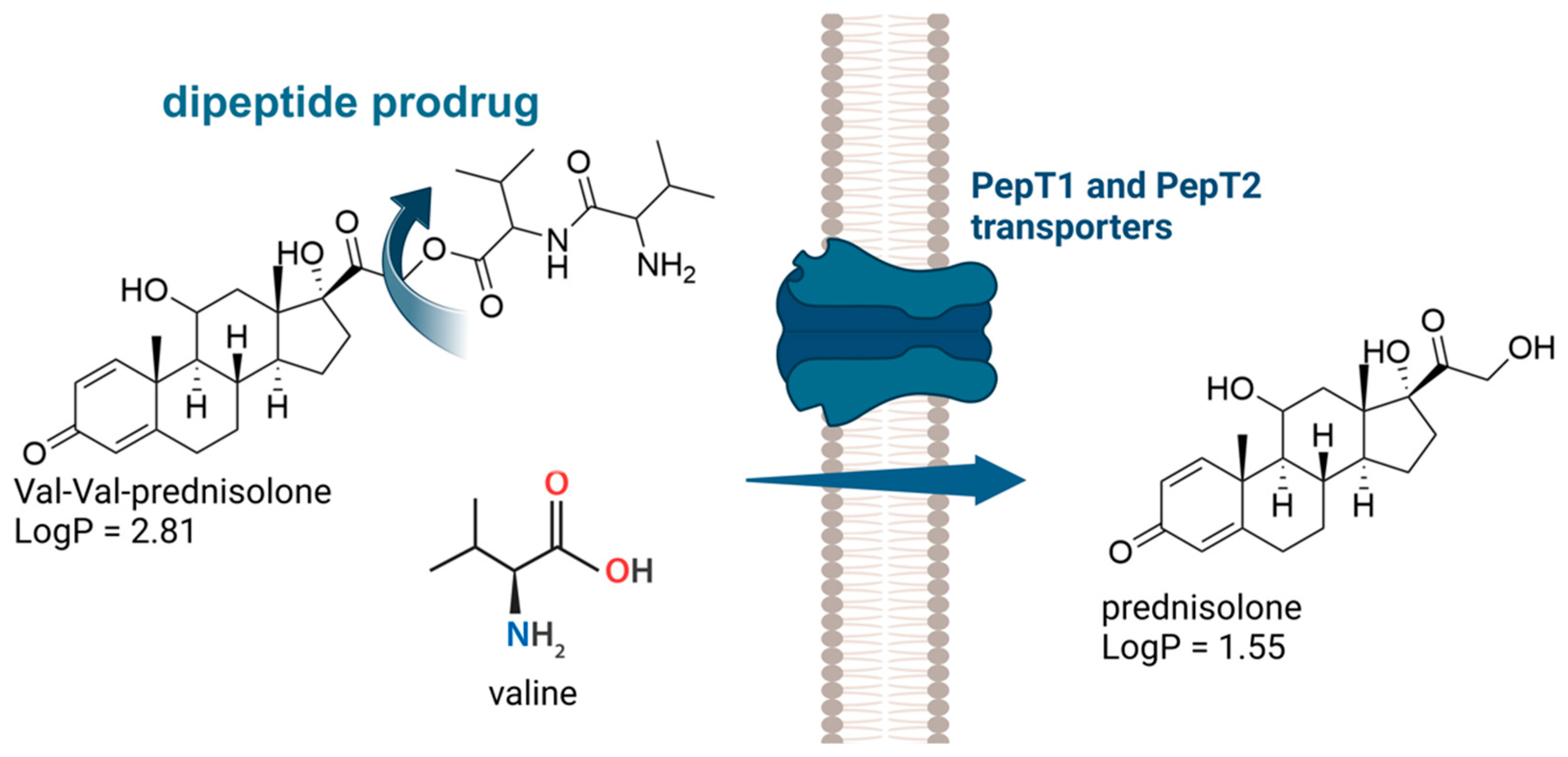Pharmaceuticals 18 00297 g002