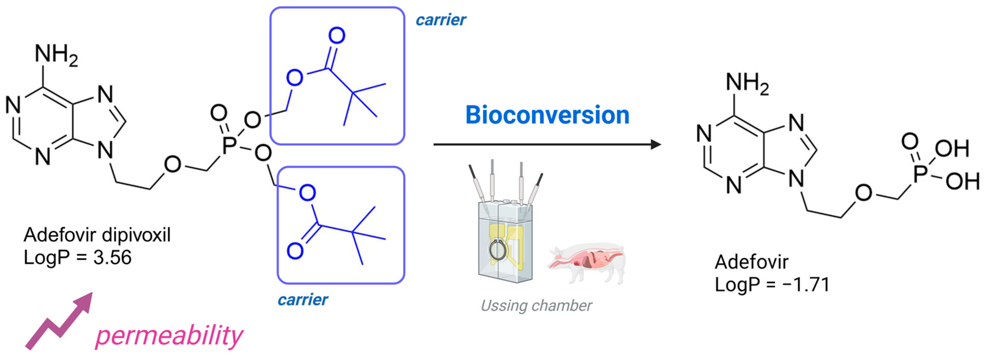 Pharmaceuticals 18 00297 g003