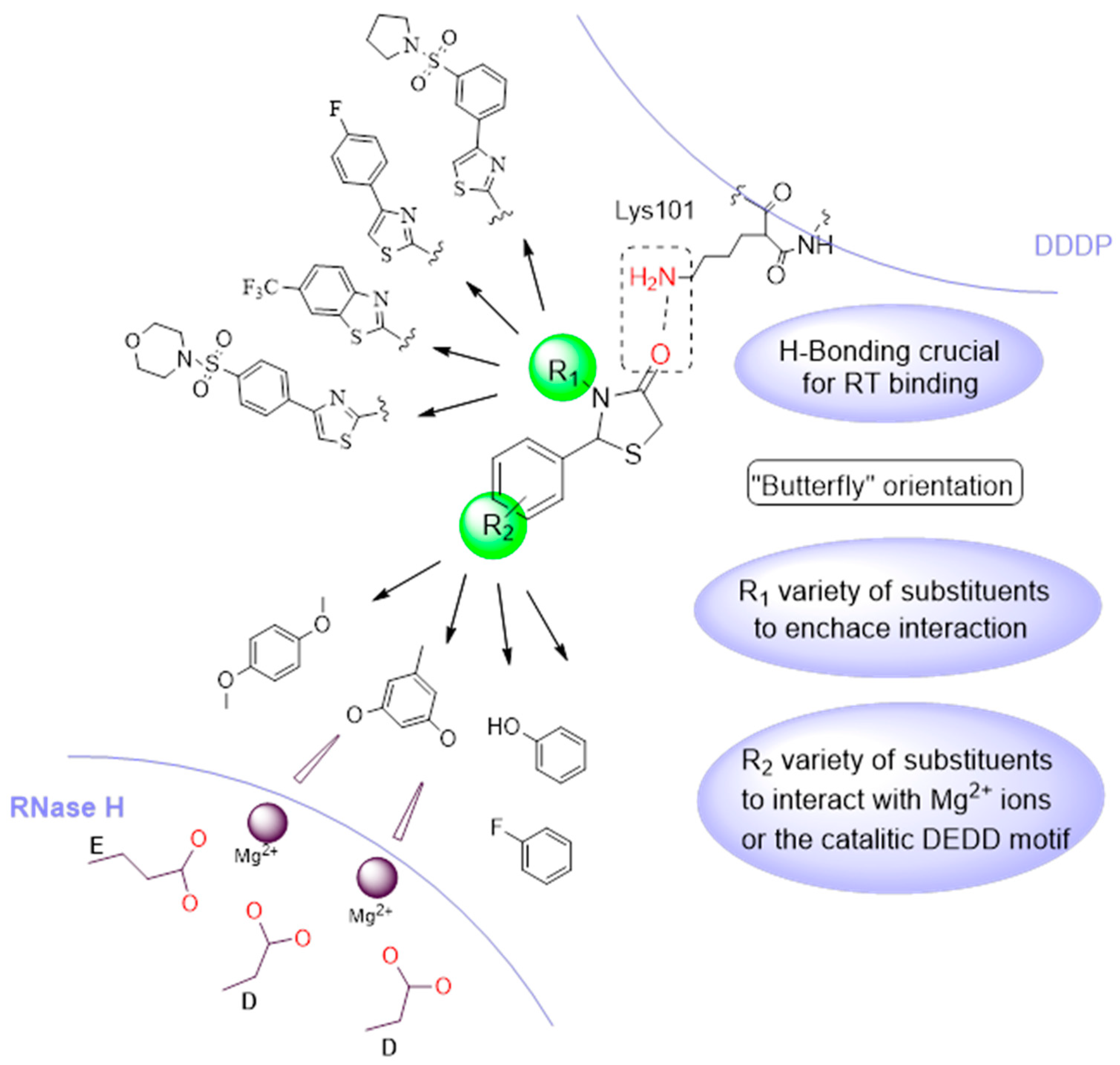 Pharmaceuticals 18 00298 g002