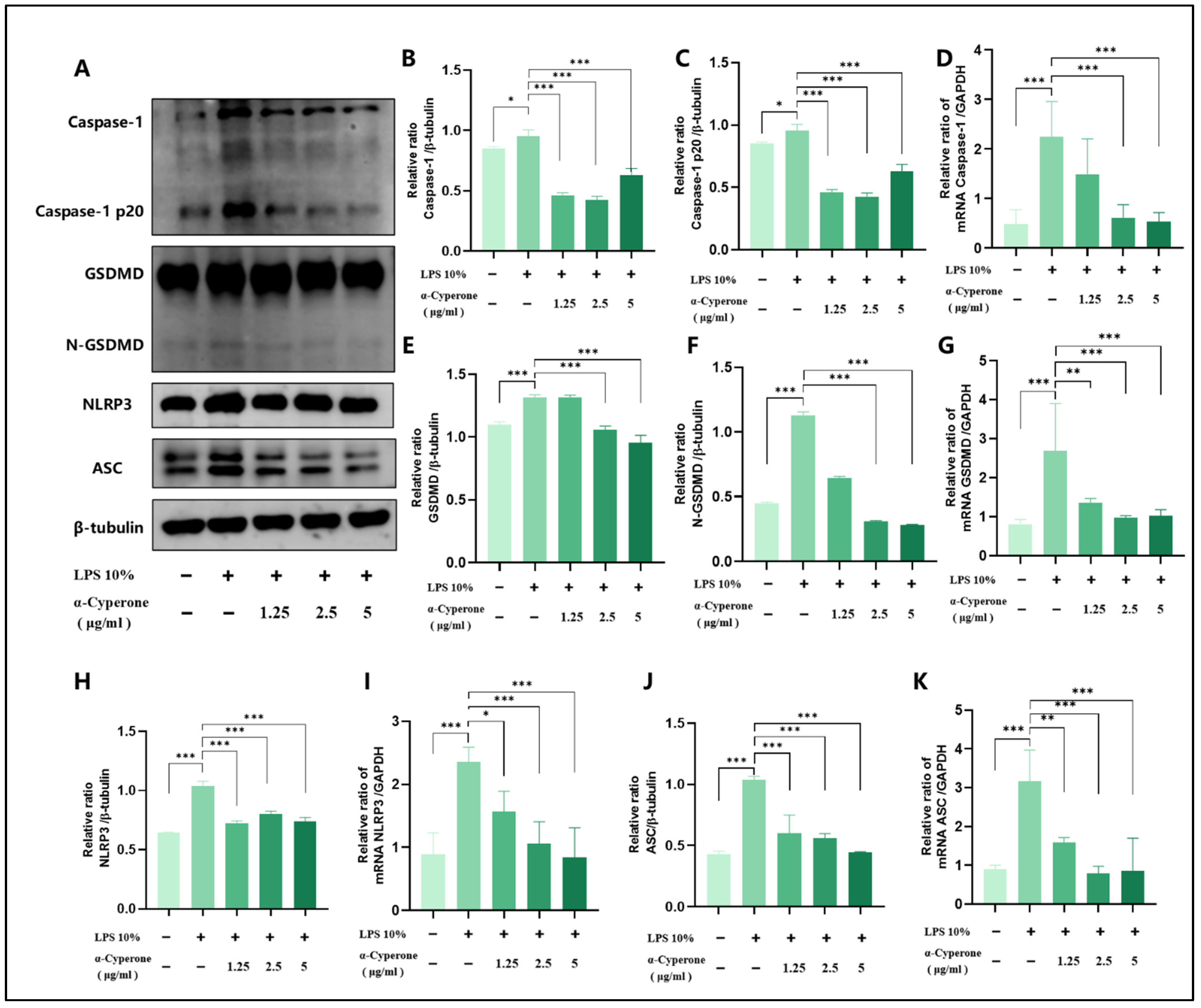 Pharmaceuticals 18 00303 g004