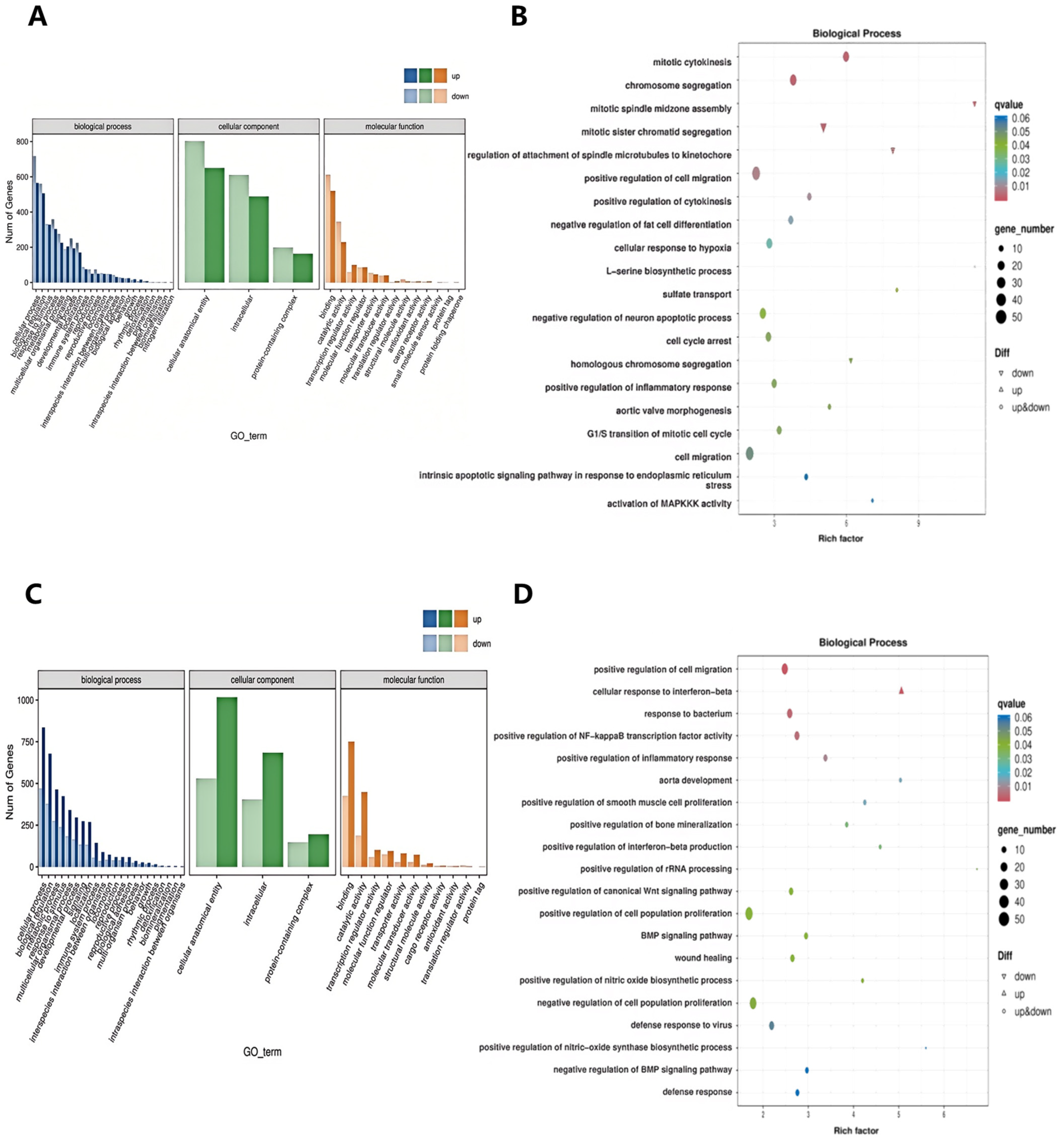 Pharmaceuticals 18 00303 g006