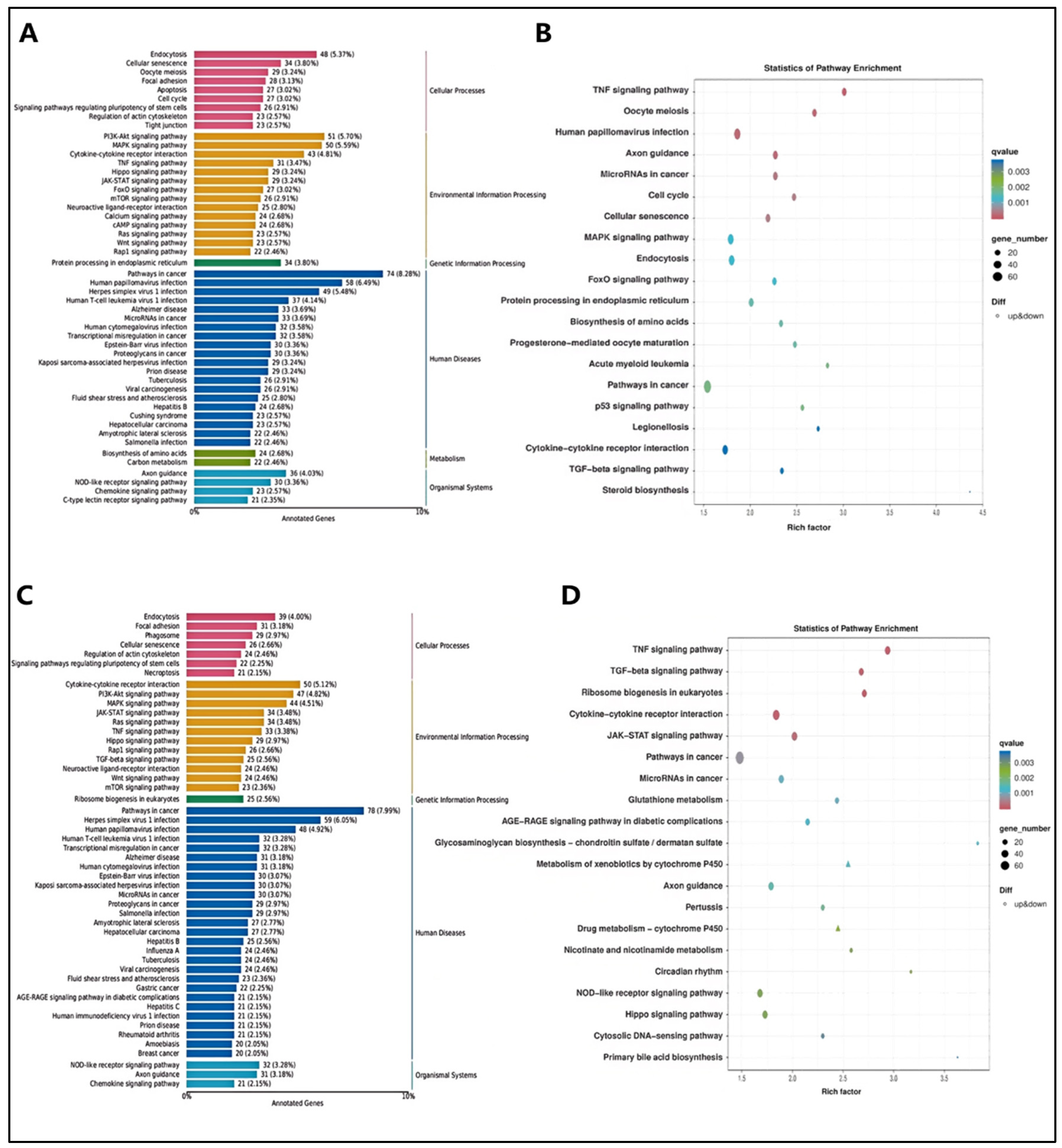 Pharmaceuticals 18 00303 g007