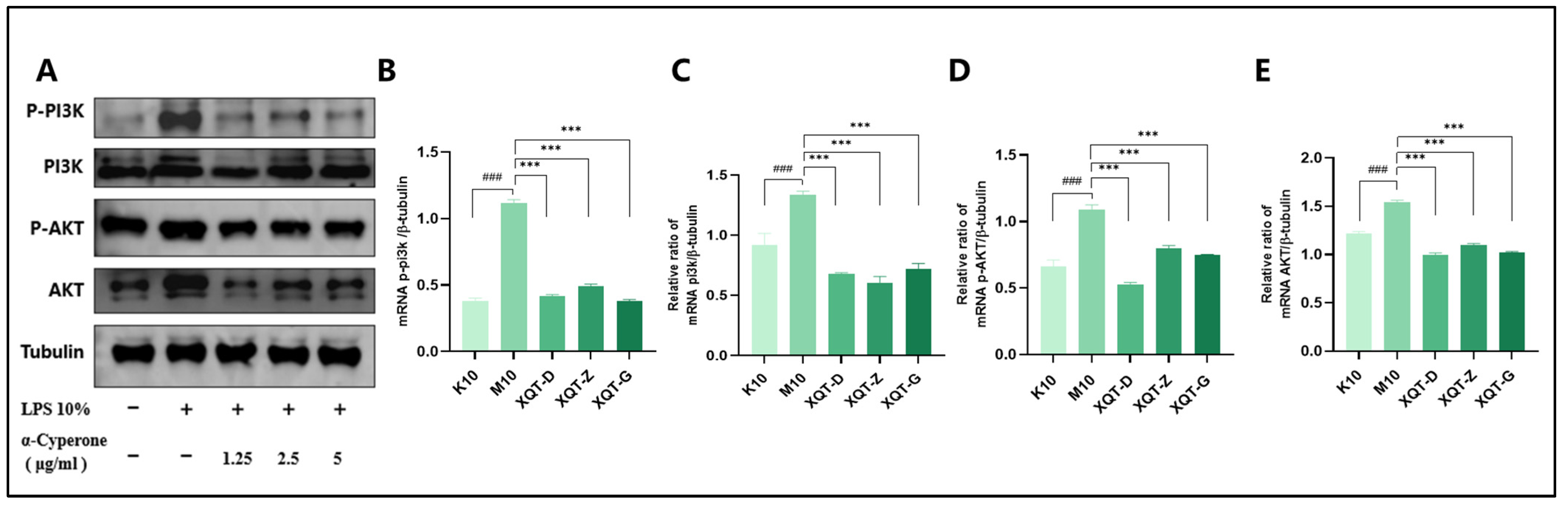 Pharmaceuticals 18 00303 g008