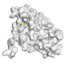 Pharmaceuticals 18 00303 i003