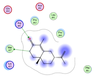 Pharmaceuticals 18 00303 i007