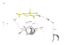 Pharmaceuticals 18 00303 i011