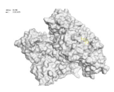 Pharmaceuticals 18 00303 i012