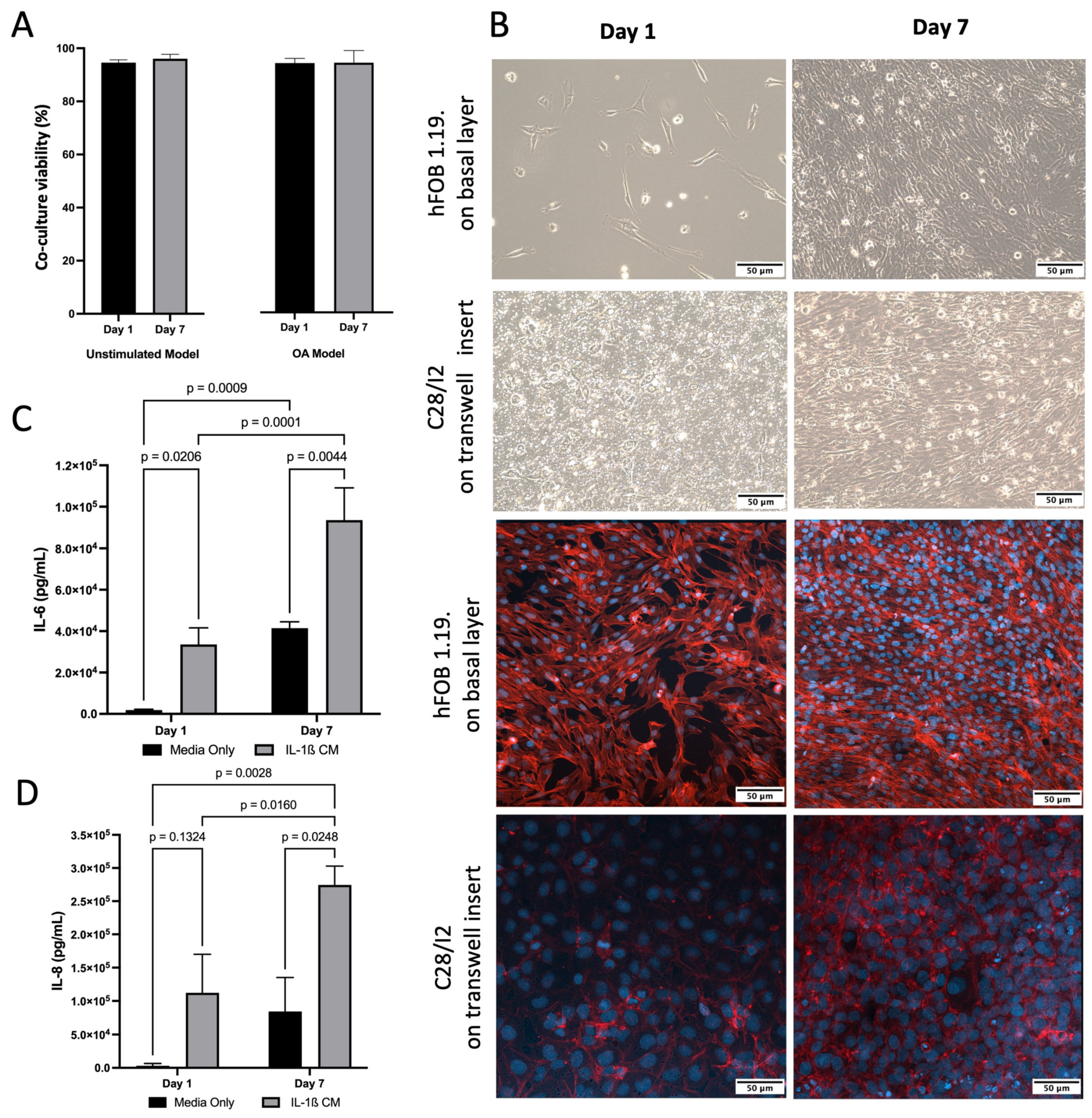 Pharmaceuticals 18 00315 g002 Pharmaceuticals 18 00315 g002